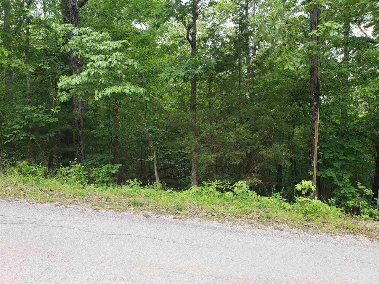 L-94 B5 Ouachita Road Property Photo 15
