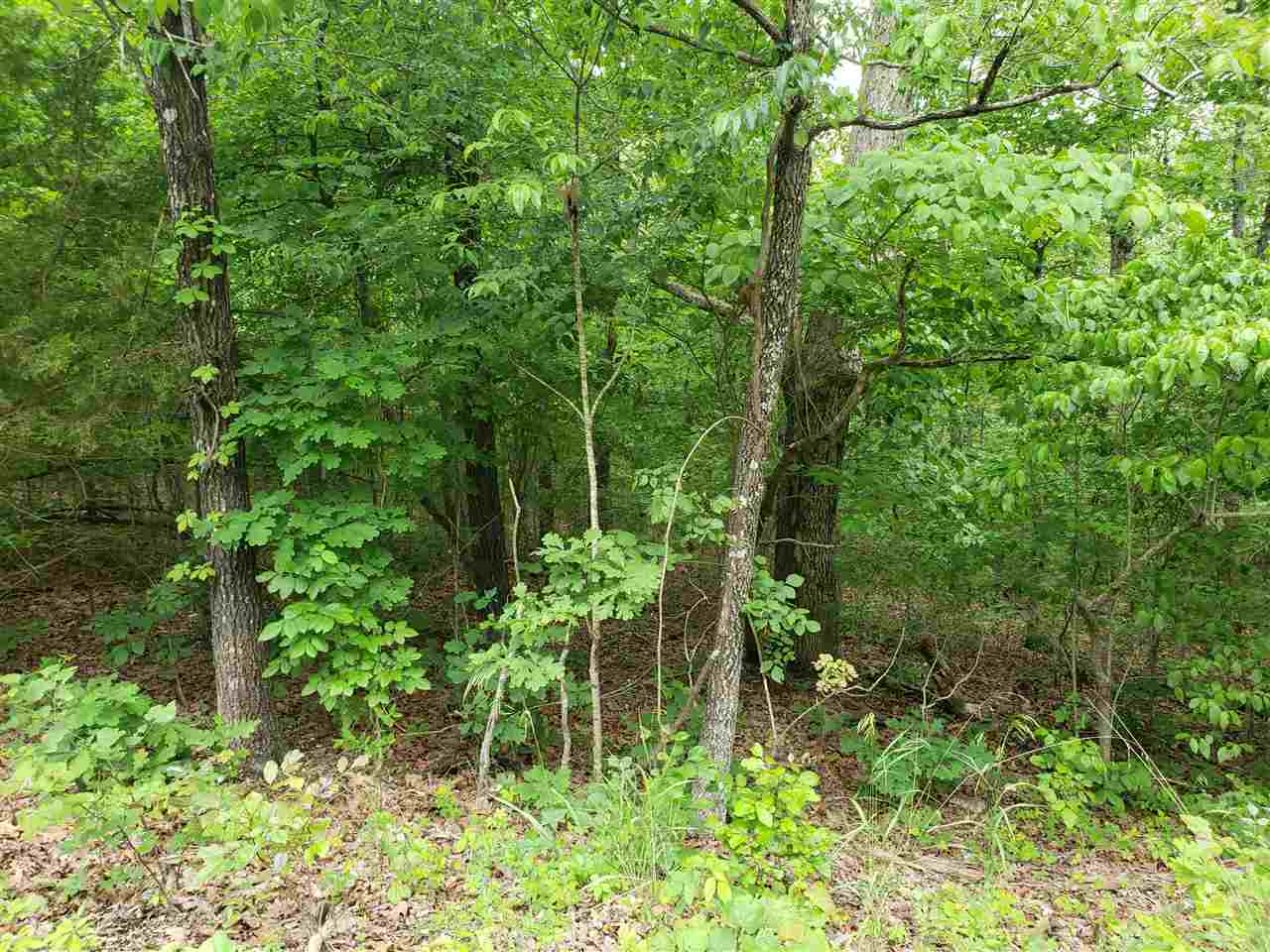 L-94 B5 Ouachita Road Property Photo 16