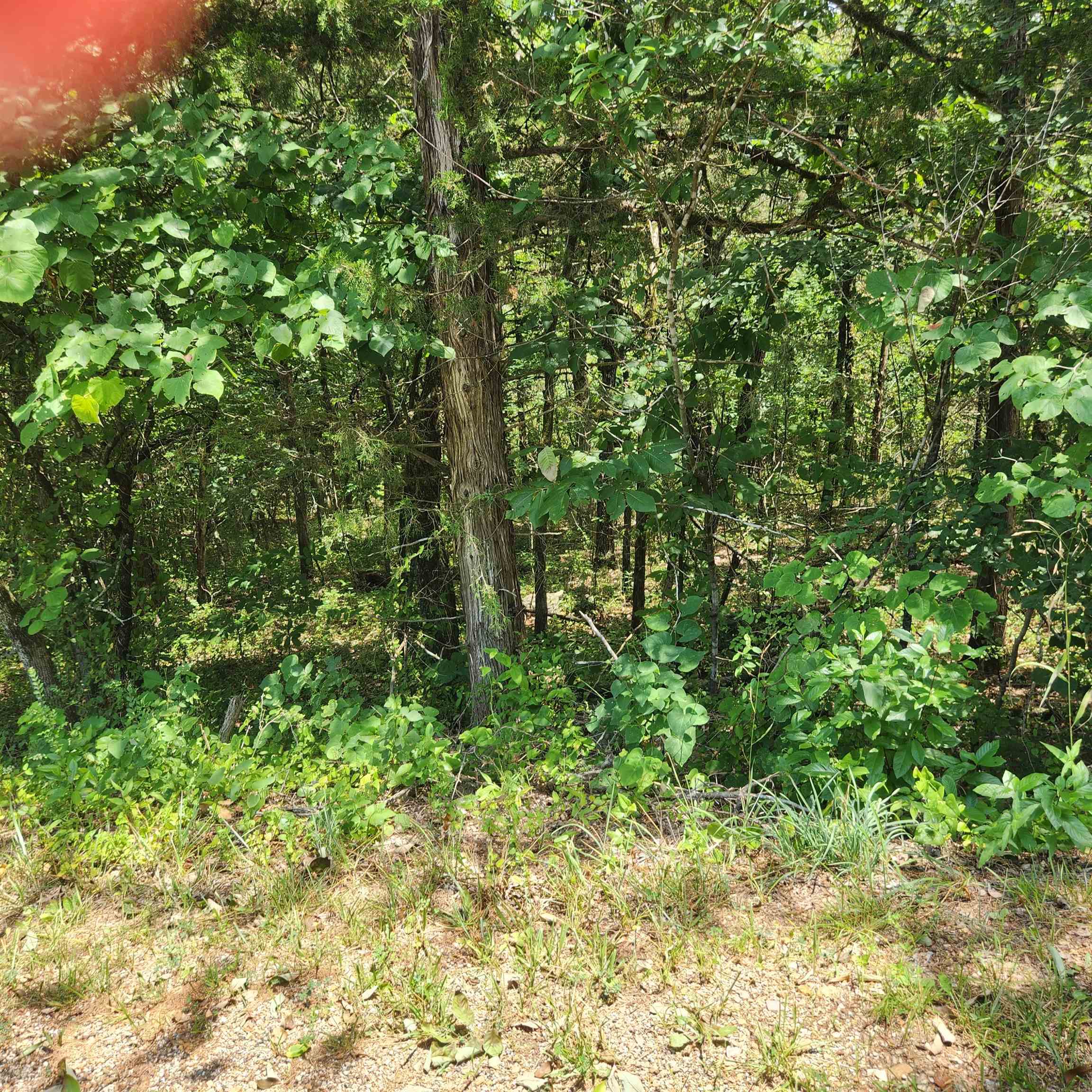 L-25, B-13a Altakima Trace Property Photo 1