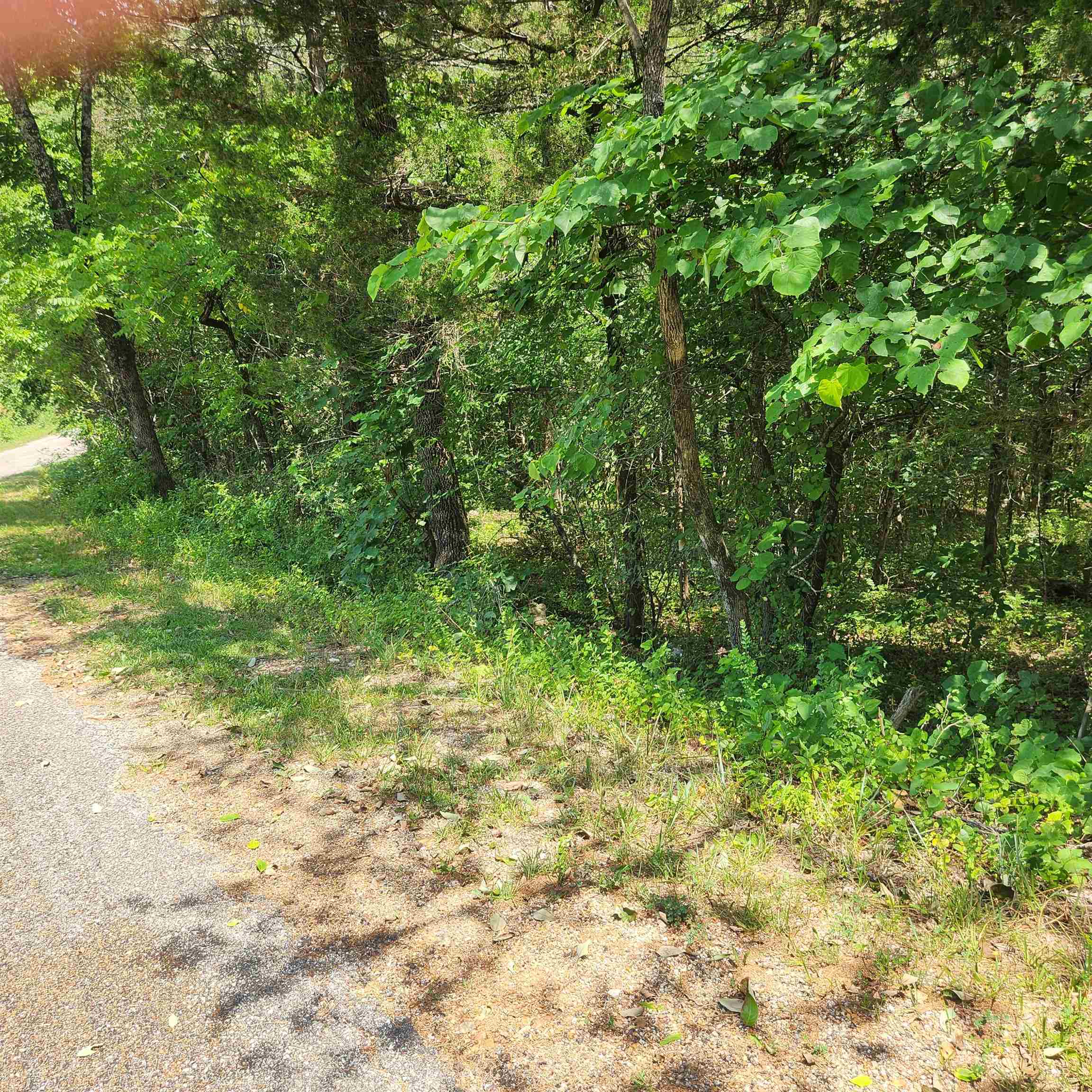 L-25, B-13a Altakima Trace Property Photo 3