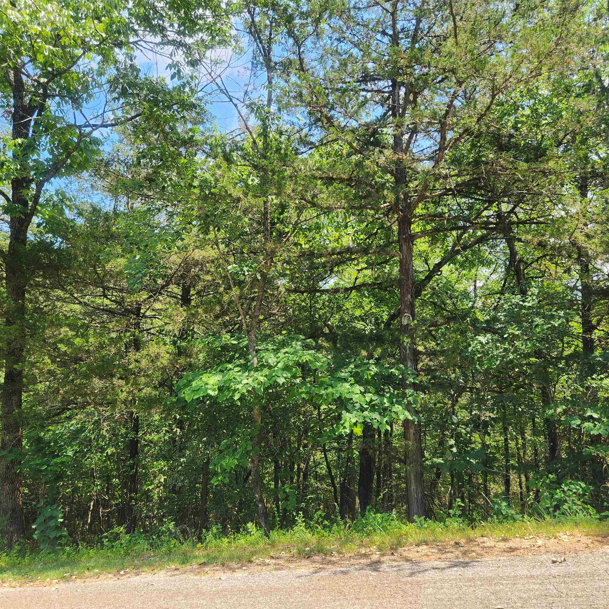 L-25, B-13a Altakima Trace Property Photo 5