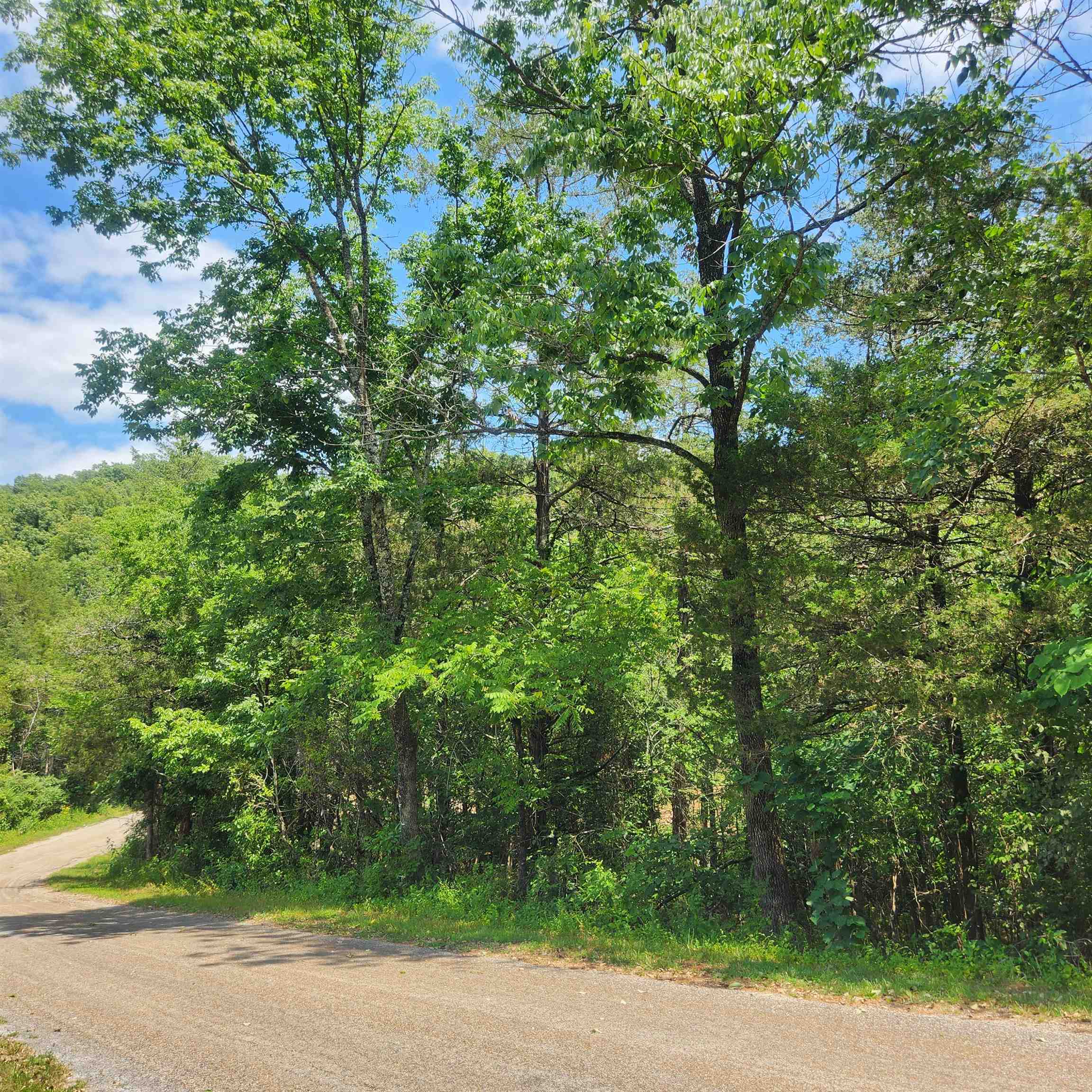 L-25, B-13a Altakima Trace Property Photo 7