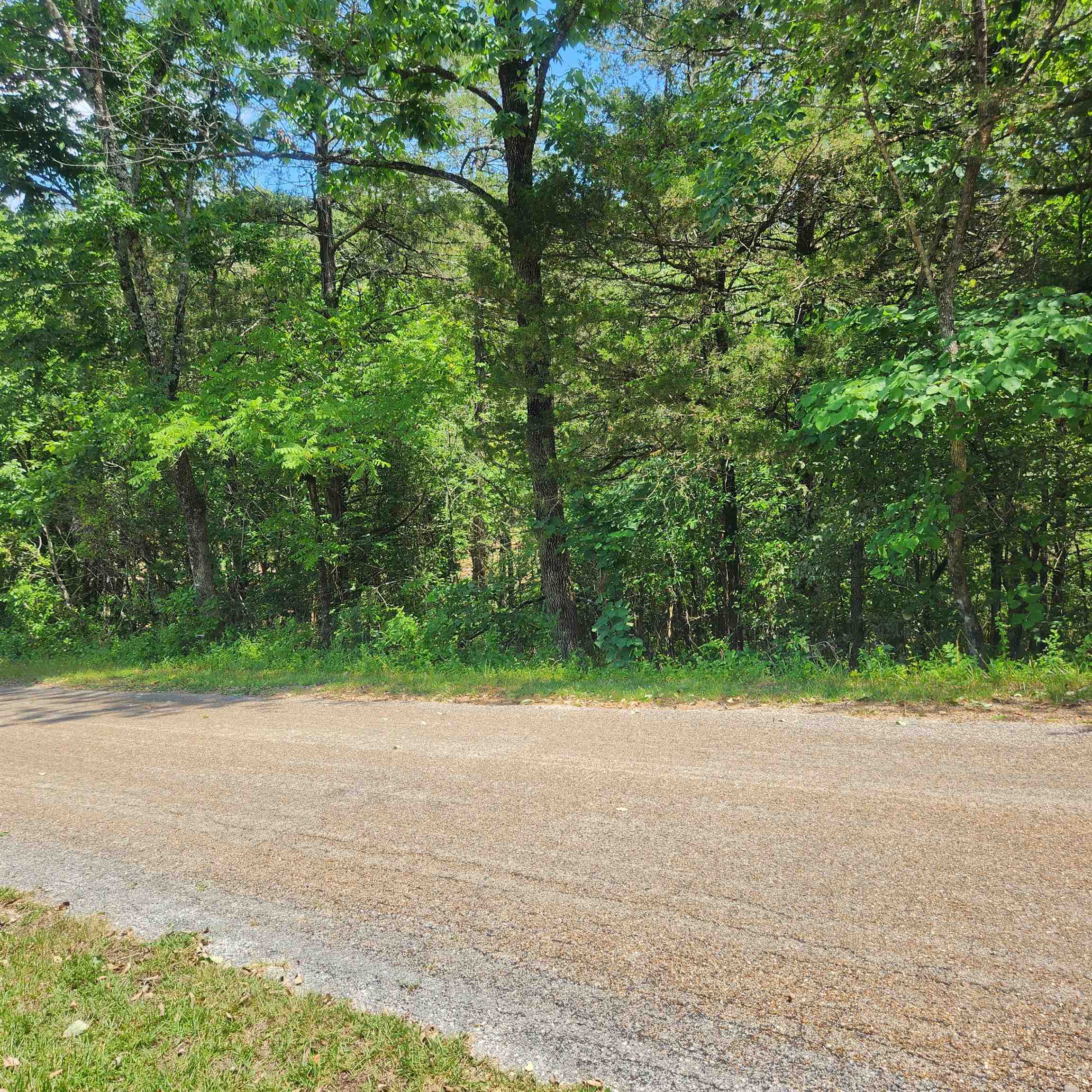 L-25, B-13a Altakima Trace Property Photo 8