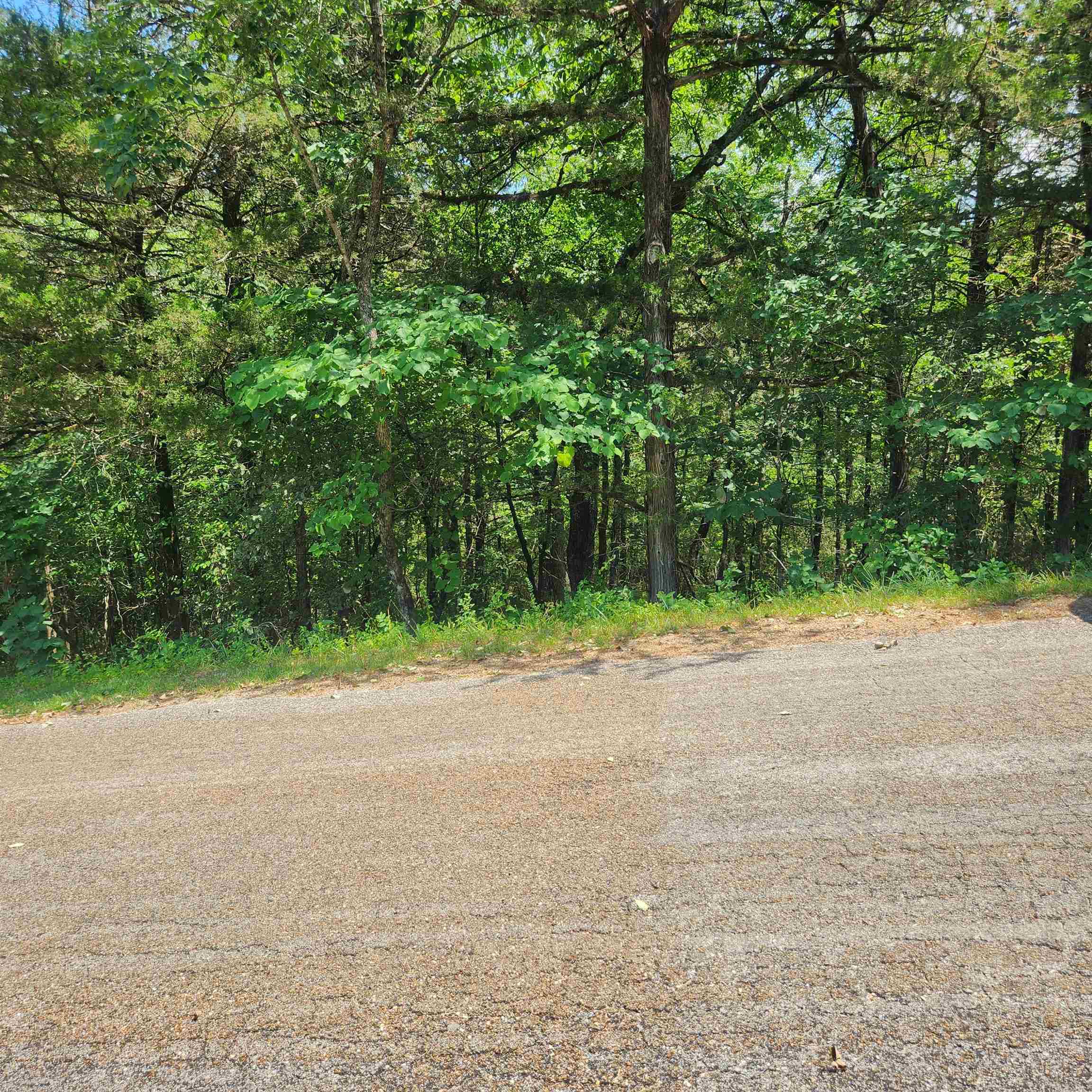 L-25, B-13a Altakima Trace Property Photo 9