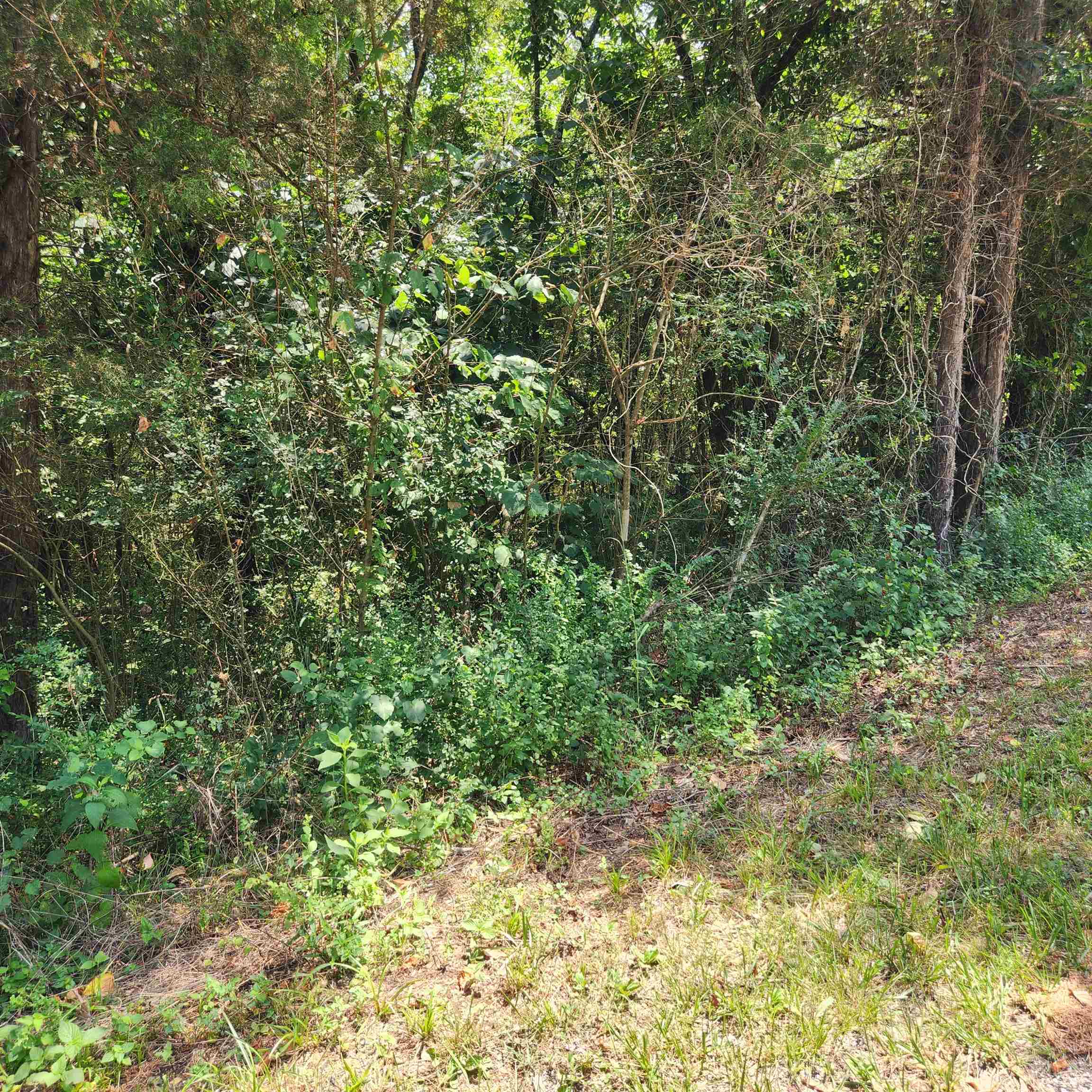 L-25, B-13a Altakima Trace Property Photo 12