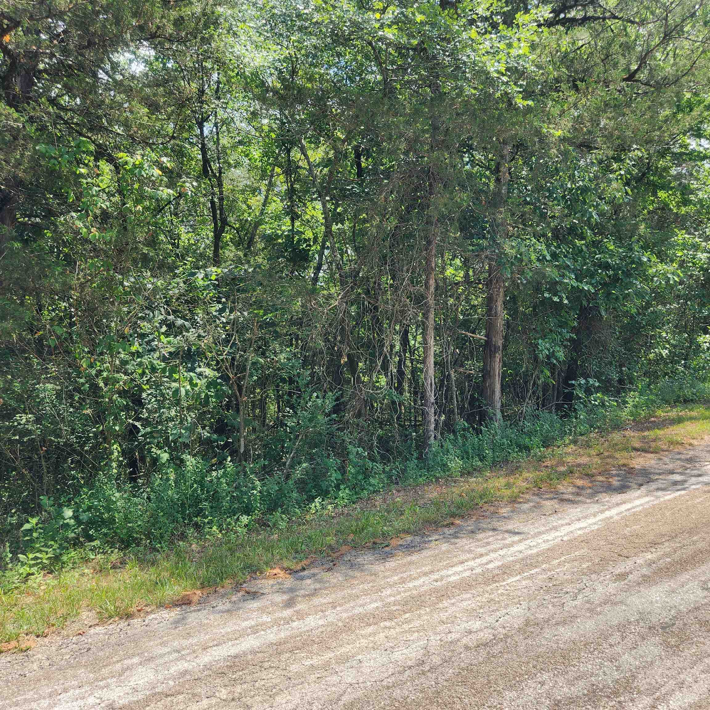 L-25, B-13a Altakima Trace Property Photo 14