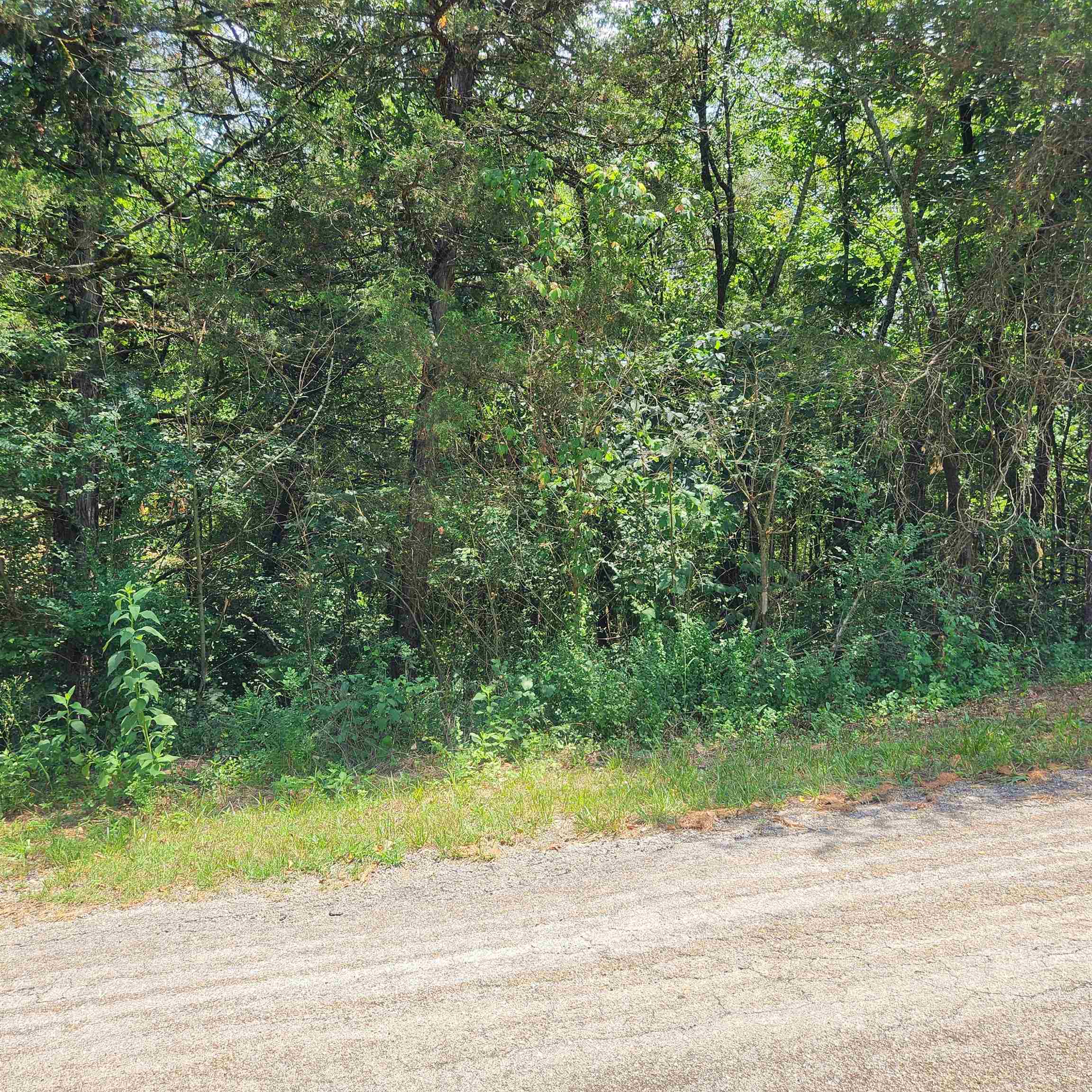 L-25, B-13a Altakima Trace Property Photo 16