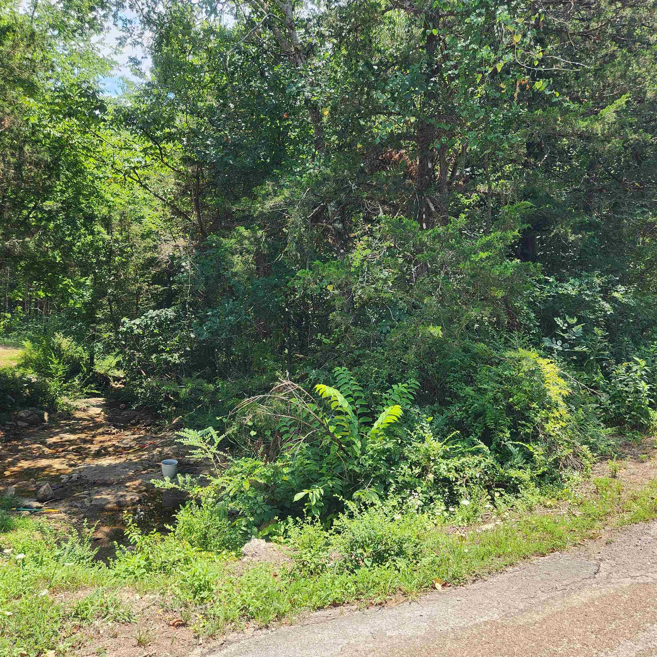 L-25, B-13a Altakima Trace Property Photo 17