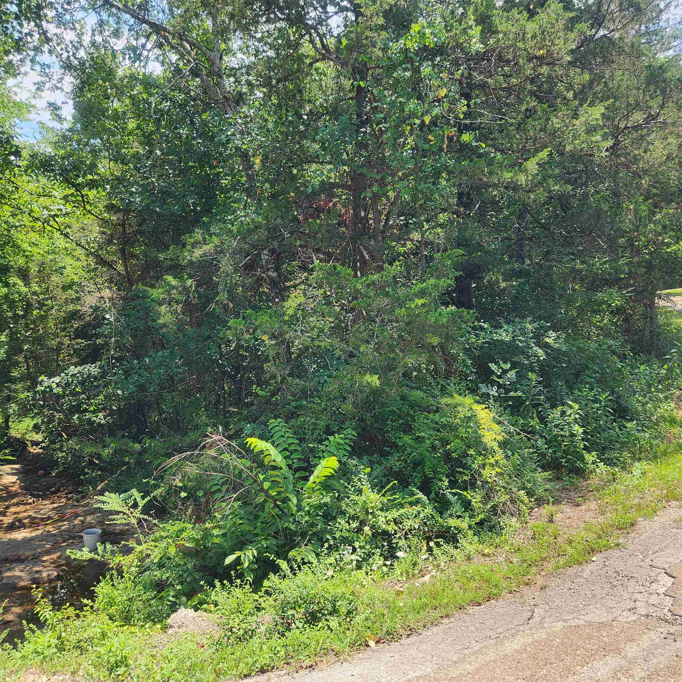 L-25, B-13a Altakima Trace Property Photo 19