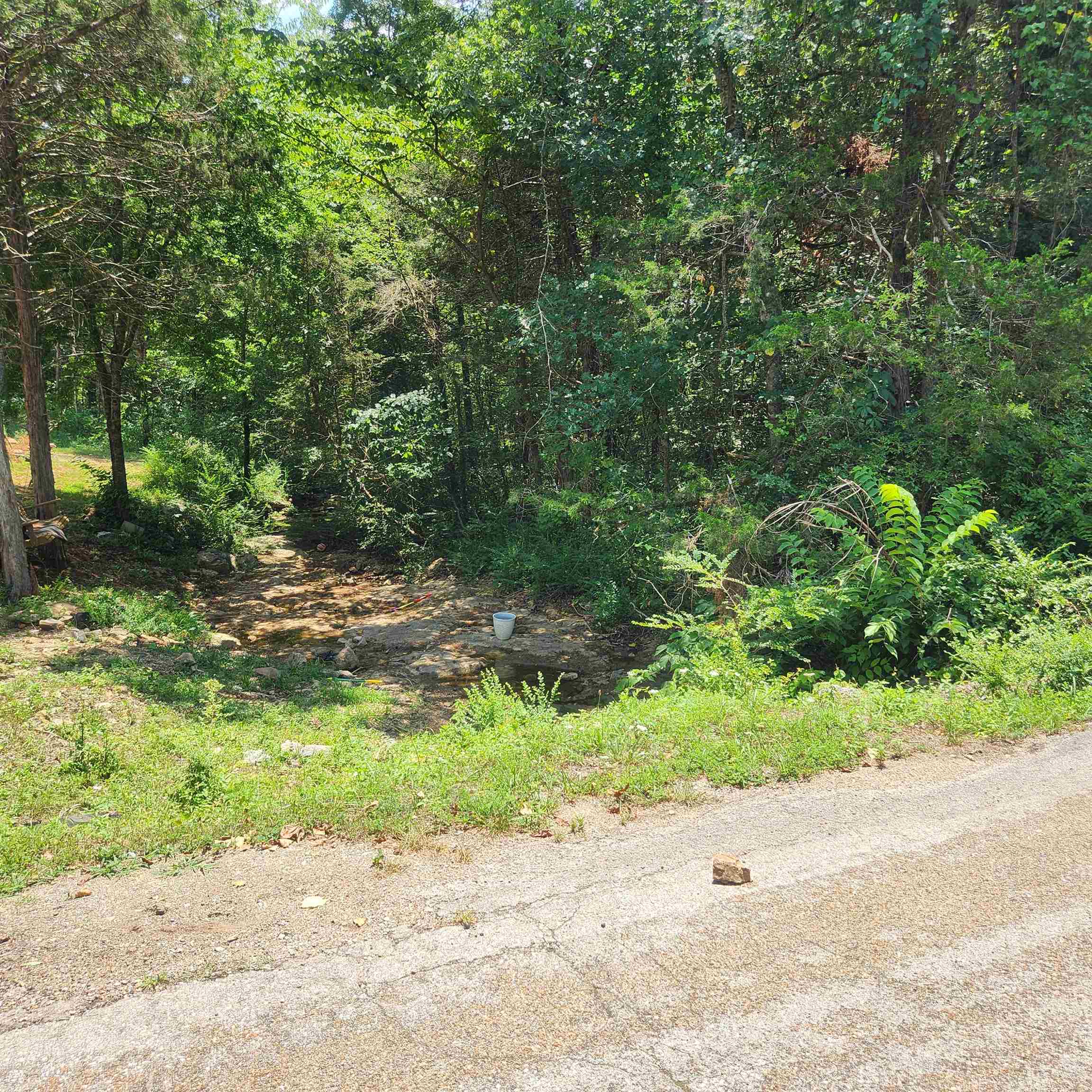 L-25, B-13a Altakima Trace Property Photo 20