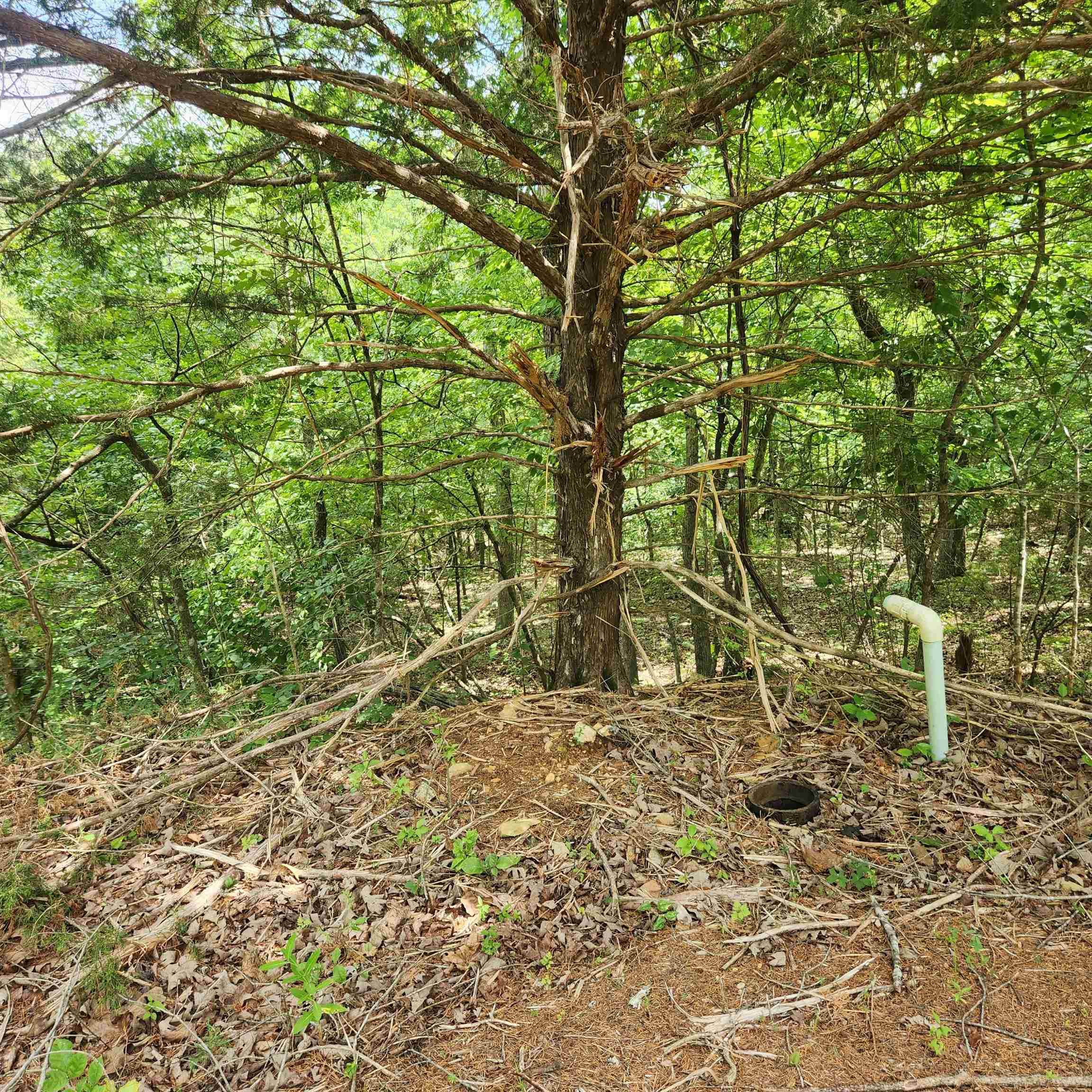L-67, B-18 Impa Circle Property Photo 1
