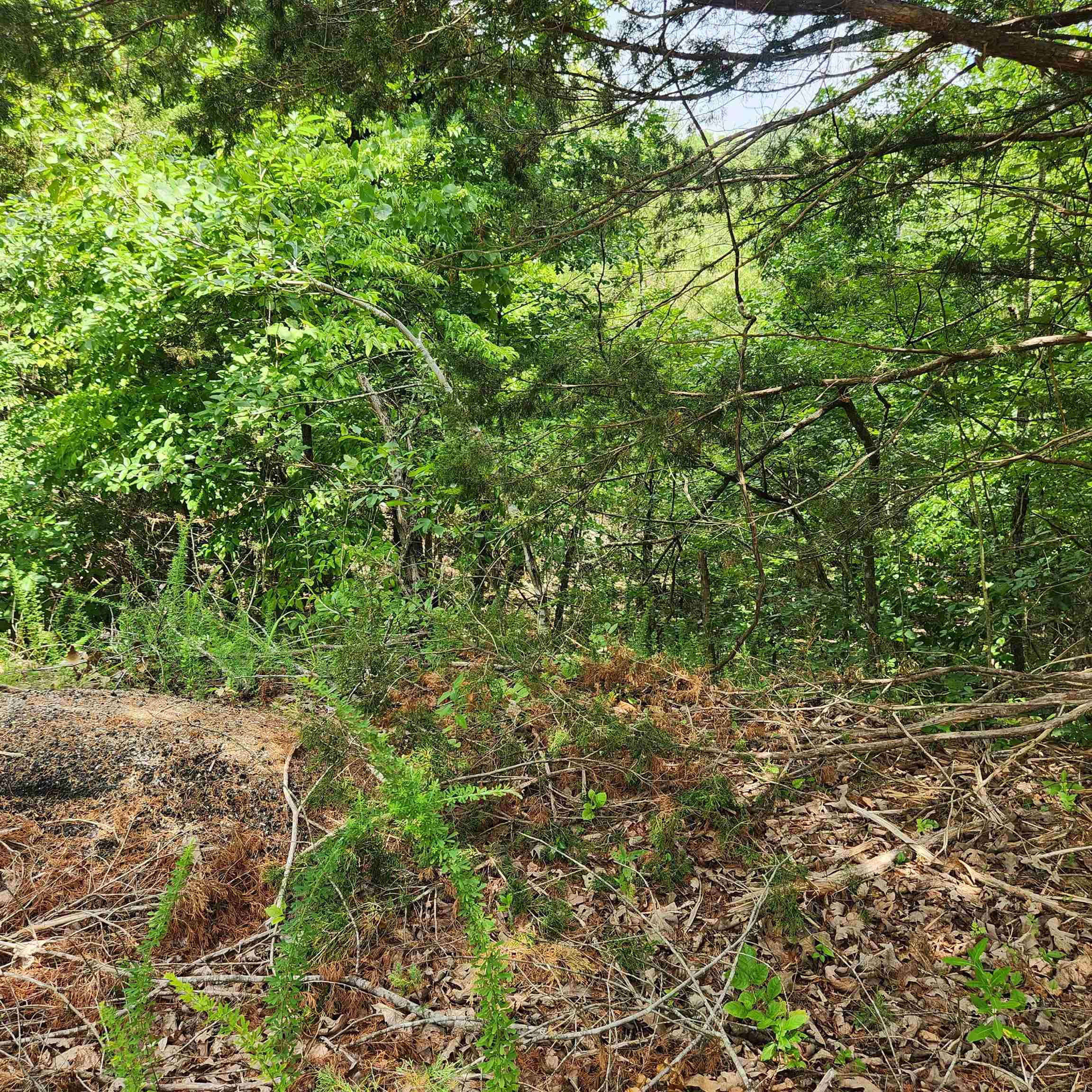 L-67, B-18 Impa Circle Property Photo 2