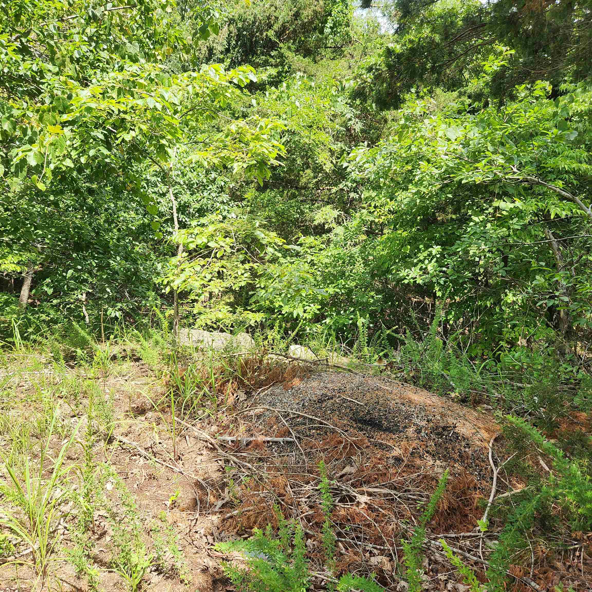 L-67, B-18 Impa Circle Property Photo 3
