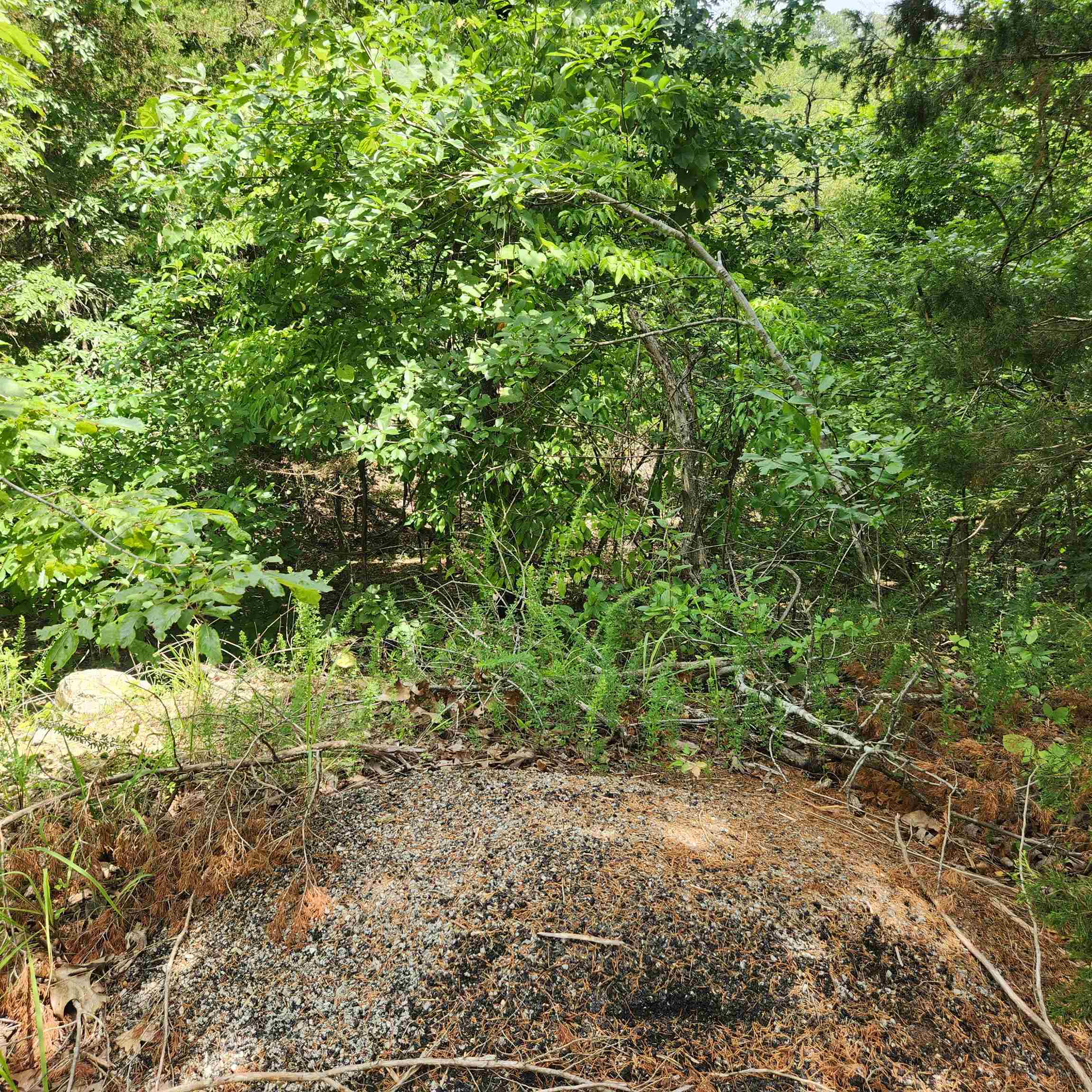 L-67, B-18 Impa Circle Property Photo 4