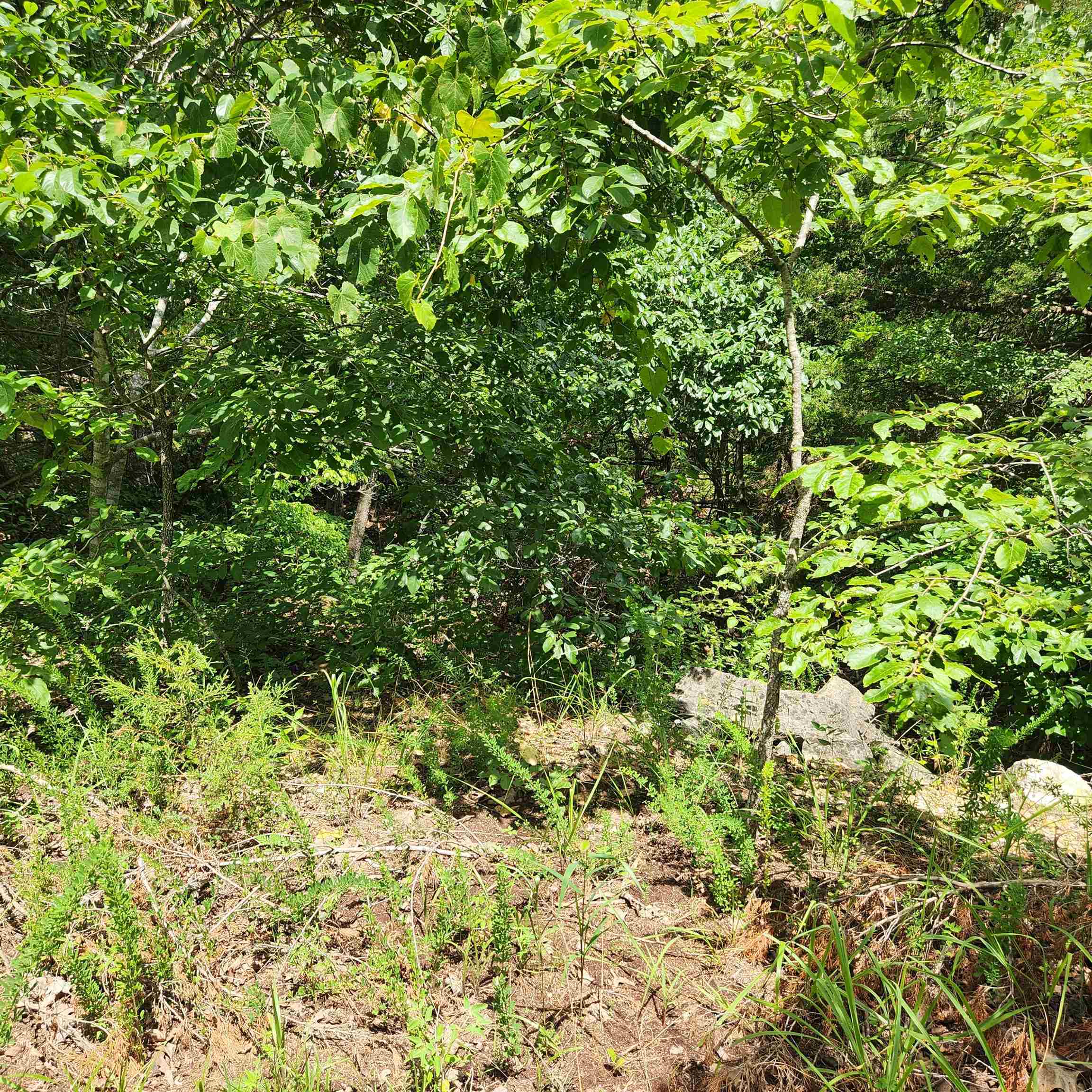 L-67, B-18 Impa Circle Property Photo 5