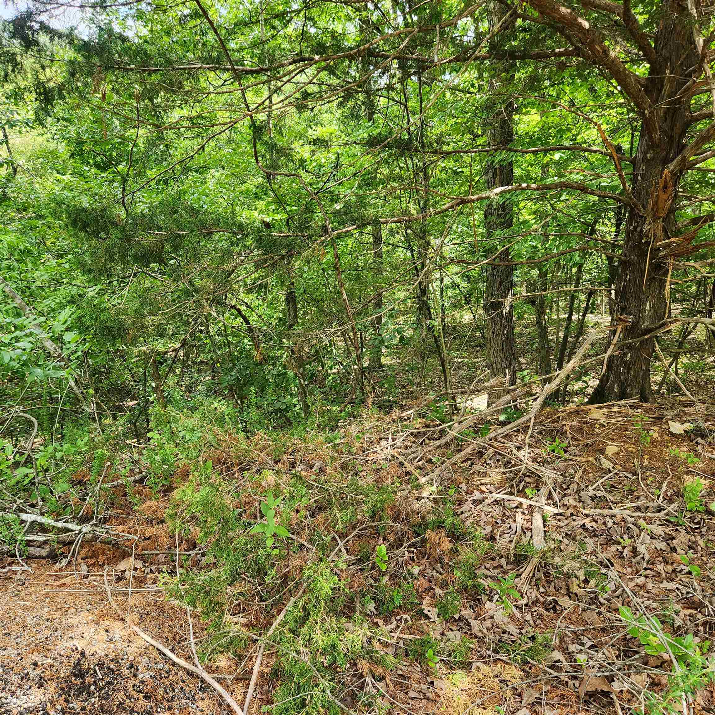 L-67, B-18 Impa Circle Property Photo 6