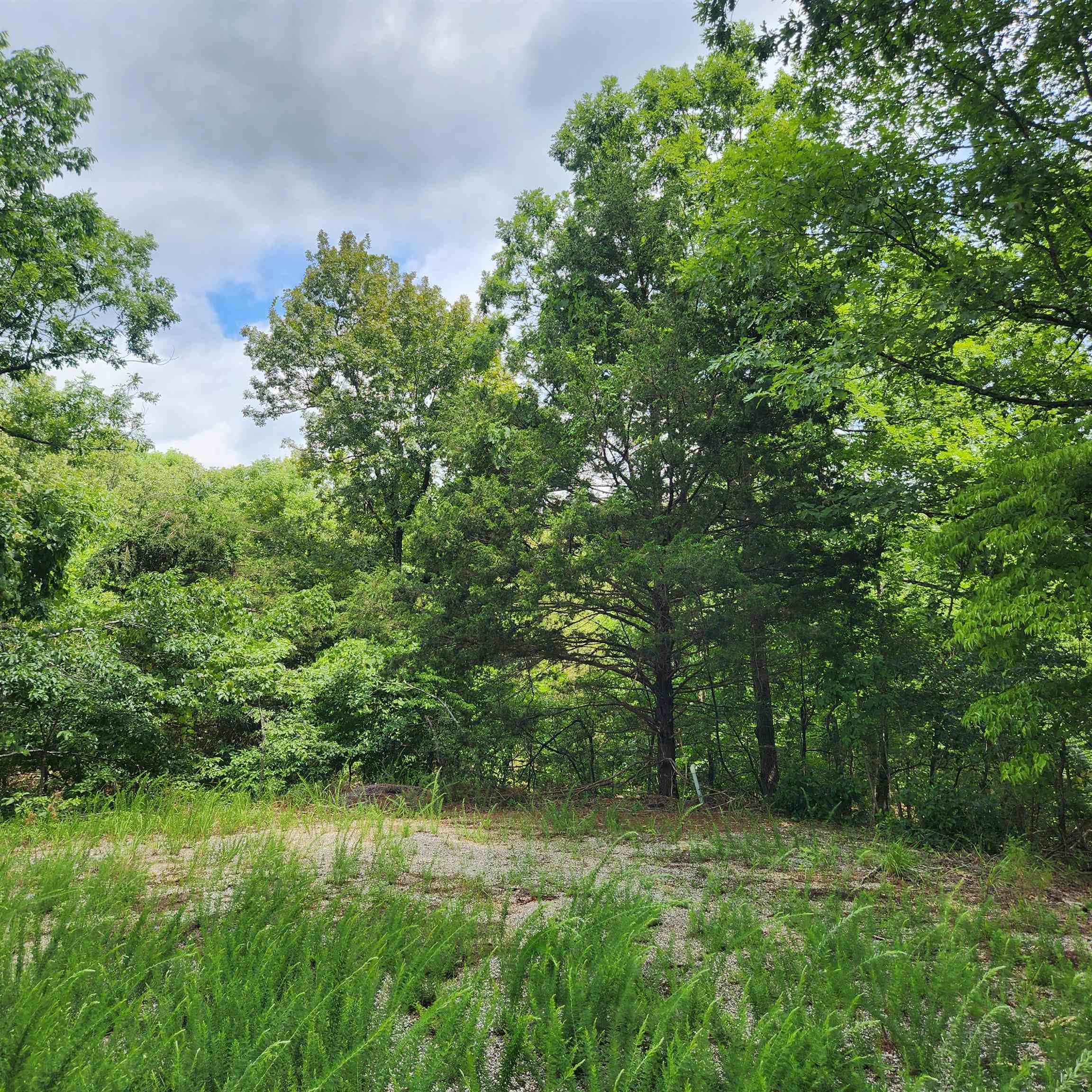 L-67, B-18 Impa Circle Property Photo 7