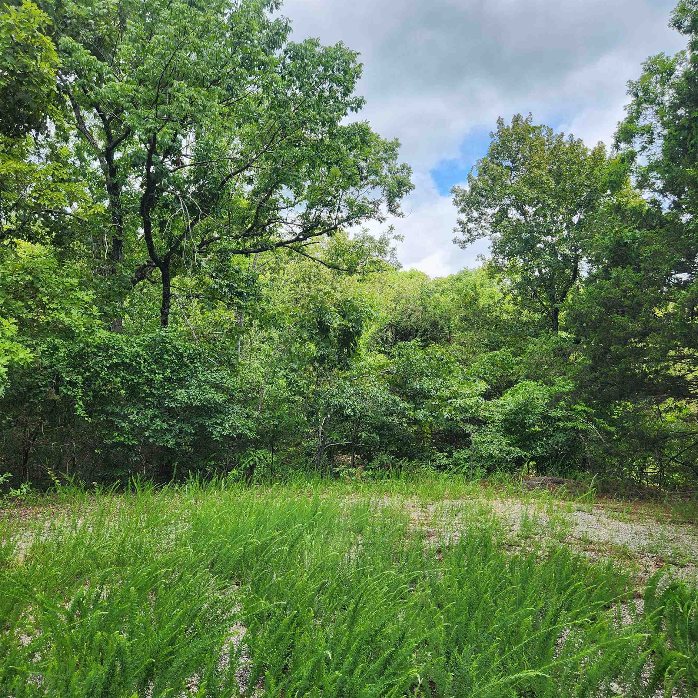 L-67, B-18 Impa Circle Property Photo 8