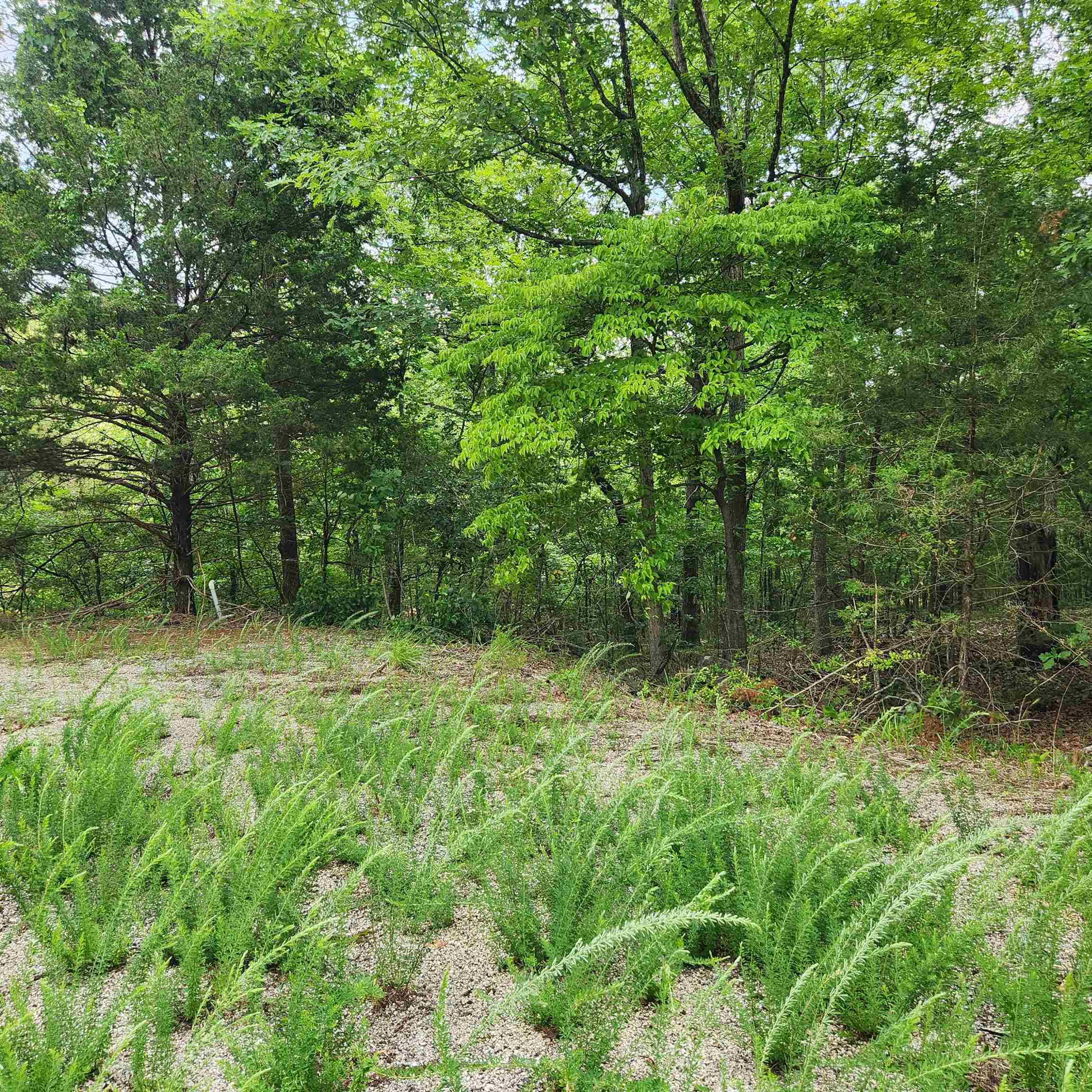L-67, B-18 Impa Circle Property Photo 9