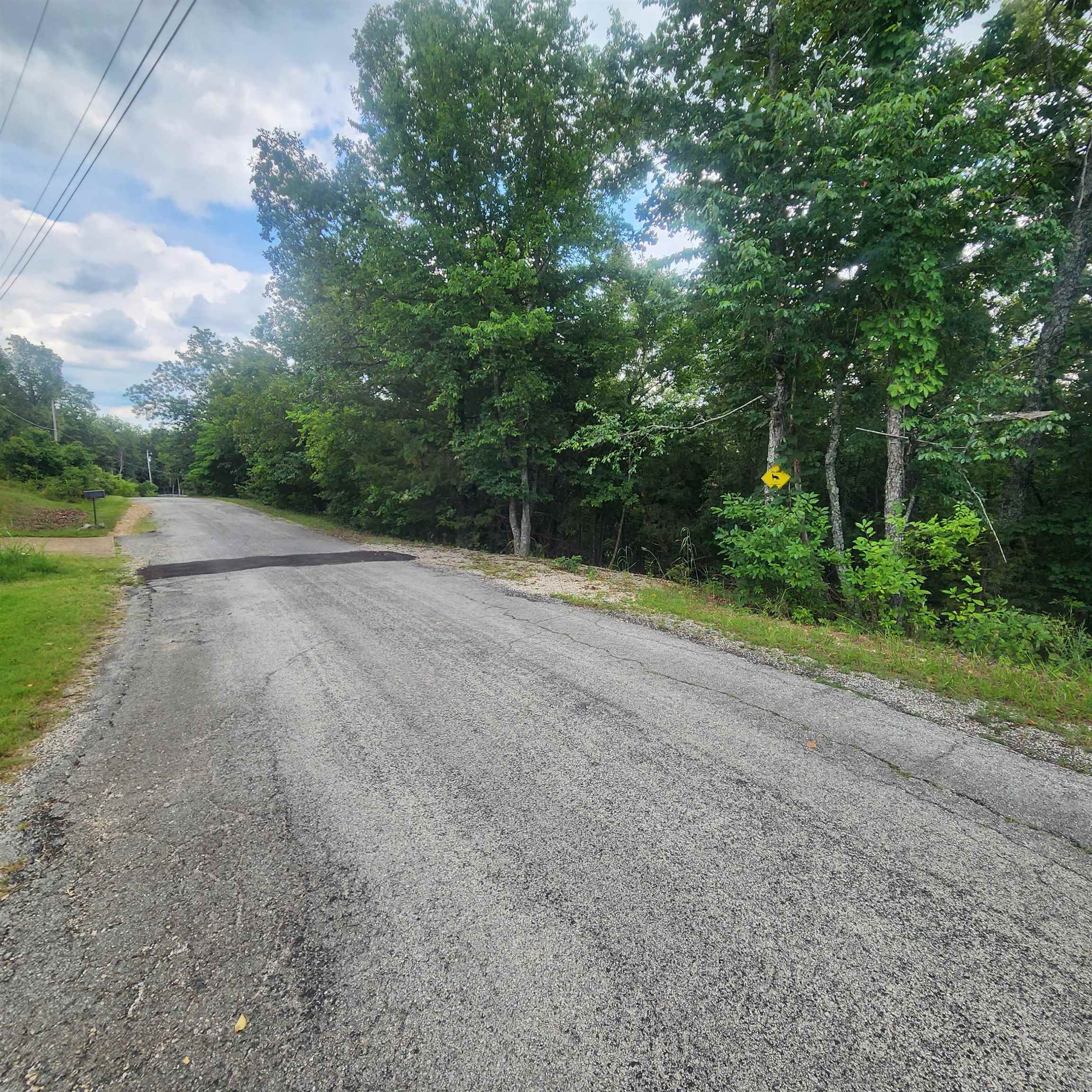 L-38 B-4 Topez Drive Property Photo 3