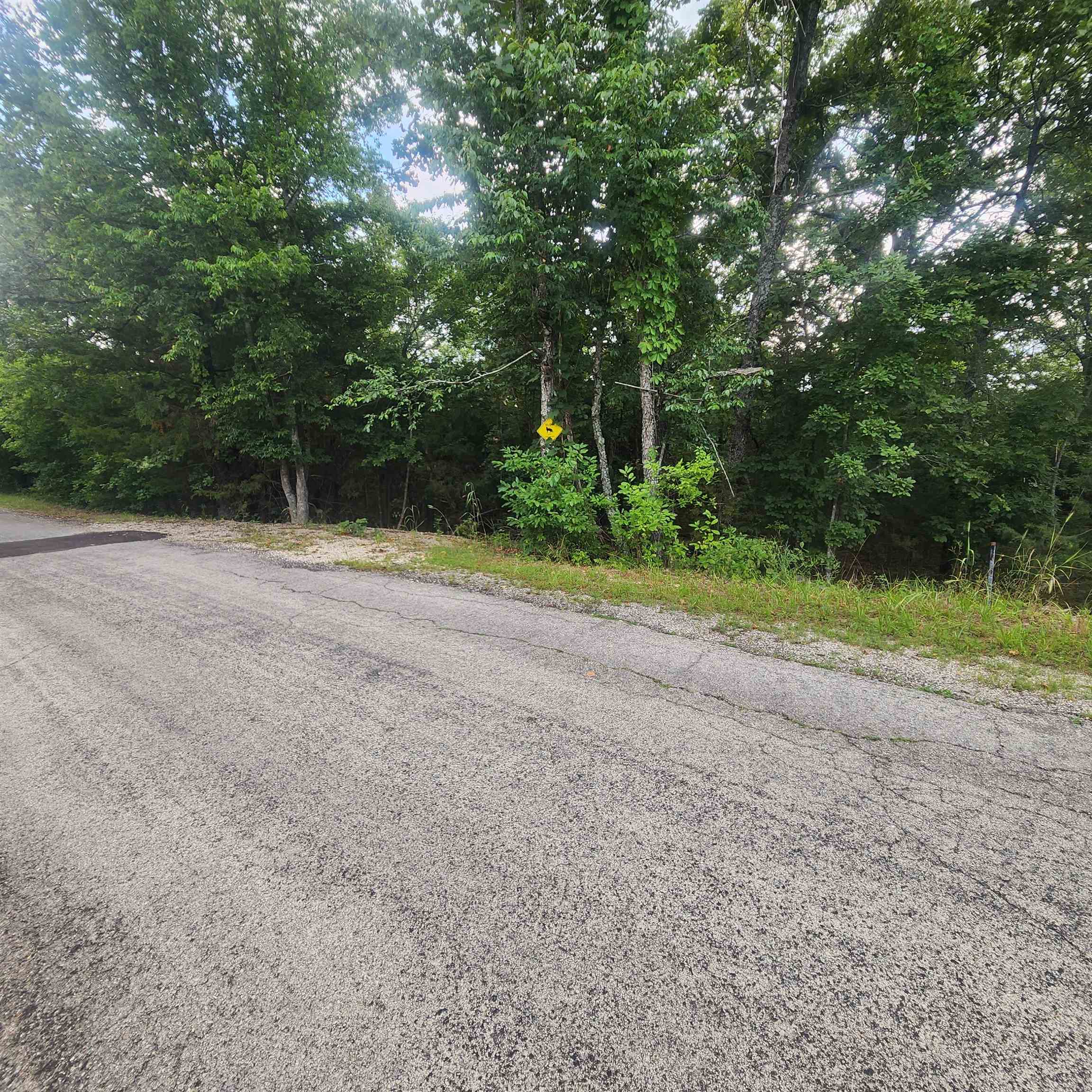 L-38 B-4 Topez Drive Property Photo 4