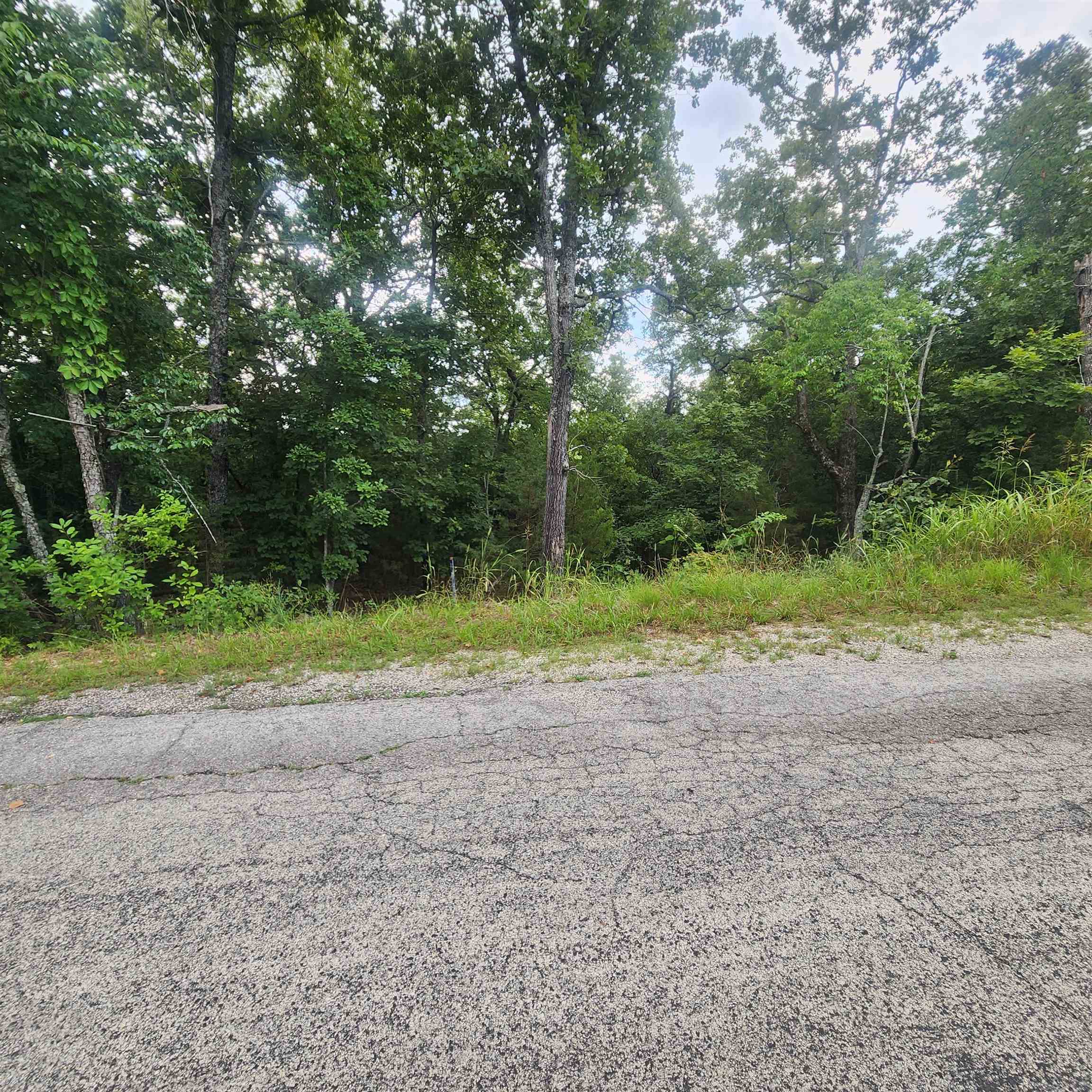 L-38 B-4 Topez Drive Property Photo 5