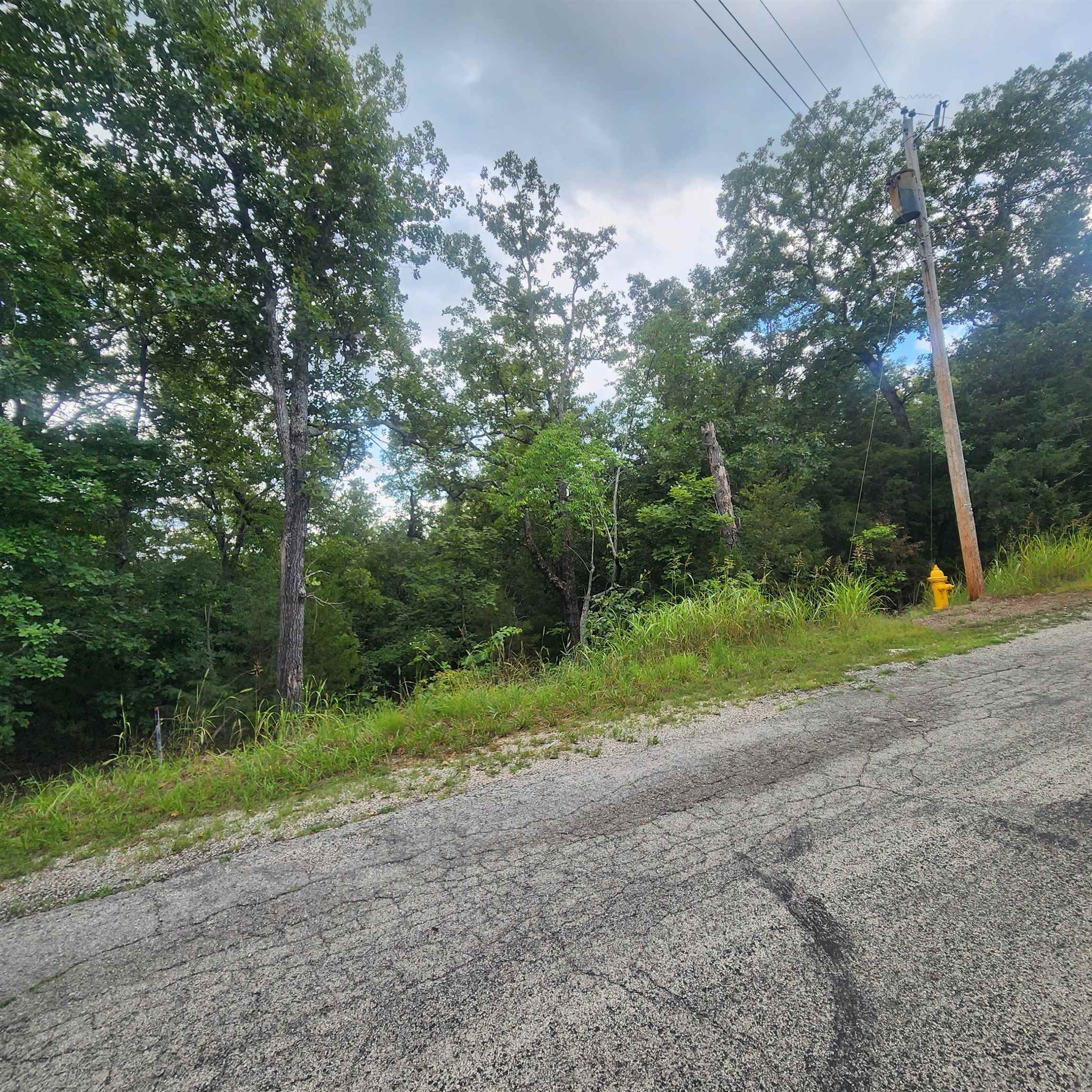 L-38 B-4 Topez Drive Property Photo 6