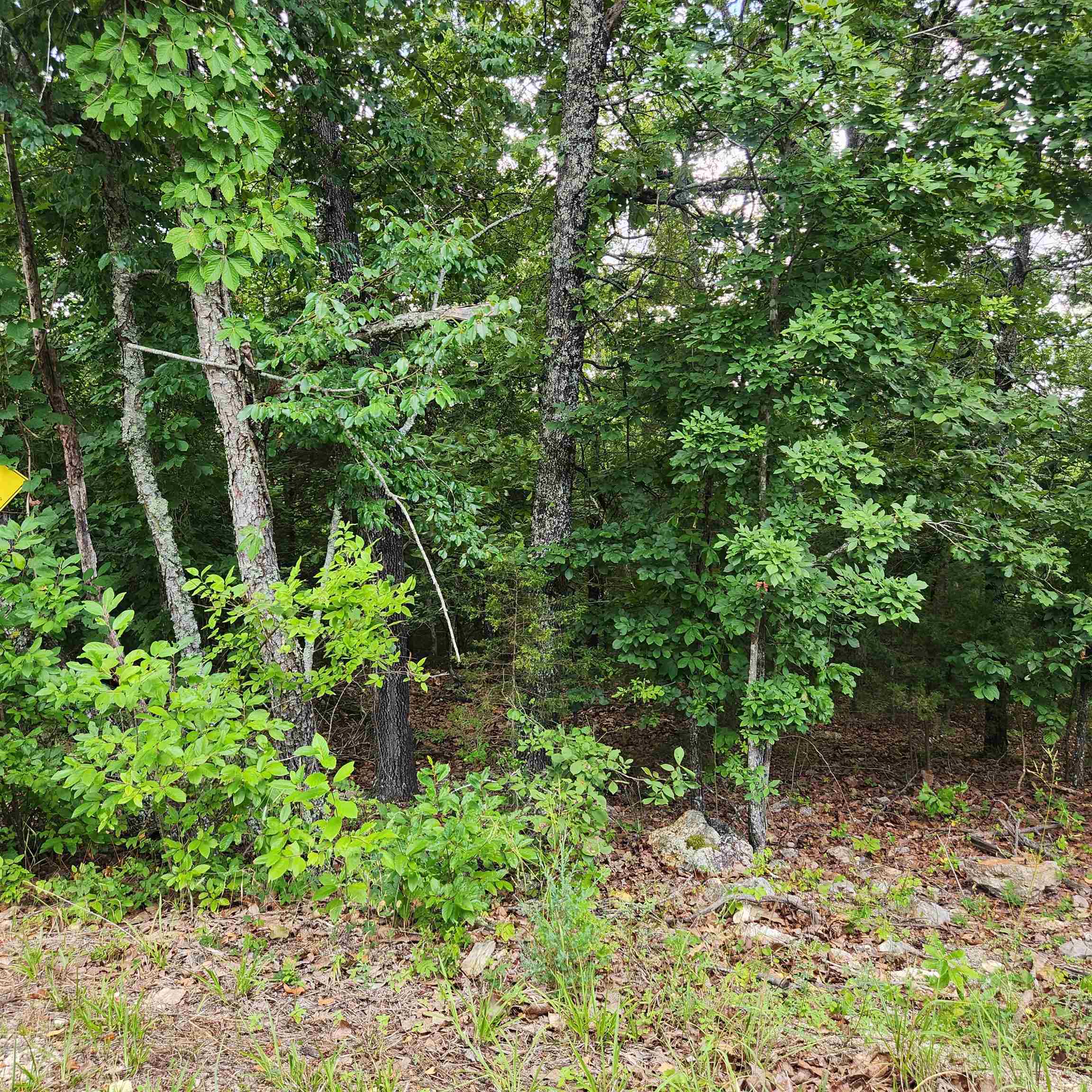 L-38 B-4 Topez Drive Property Photo 9
