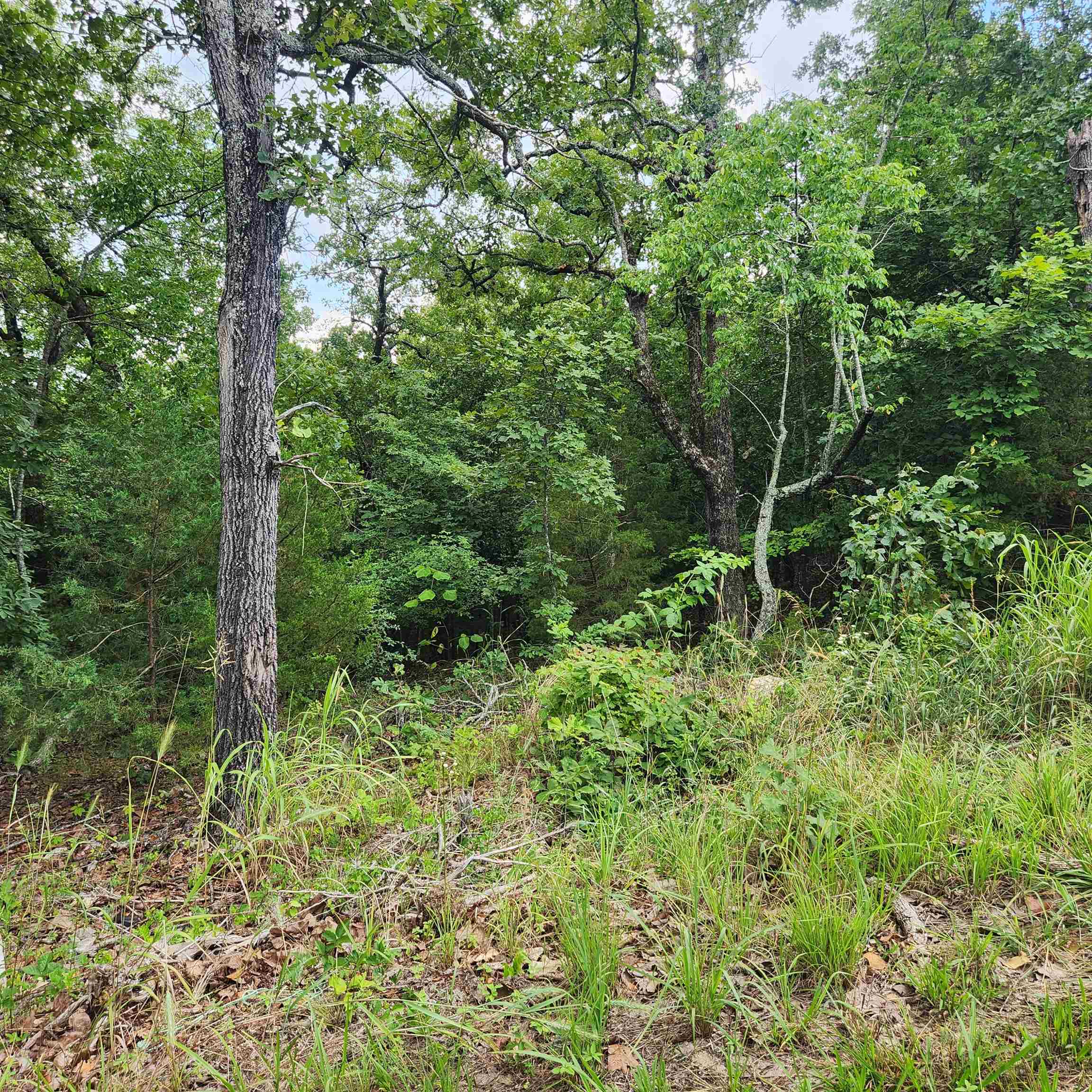 L-38 B-4 Topez Drive Property Photo 10