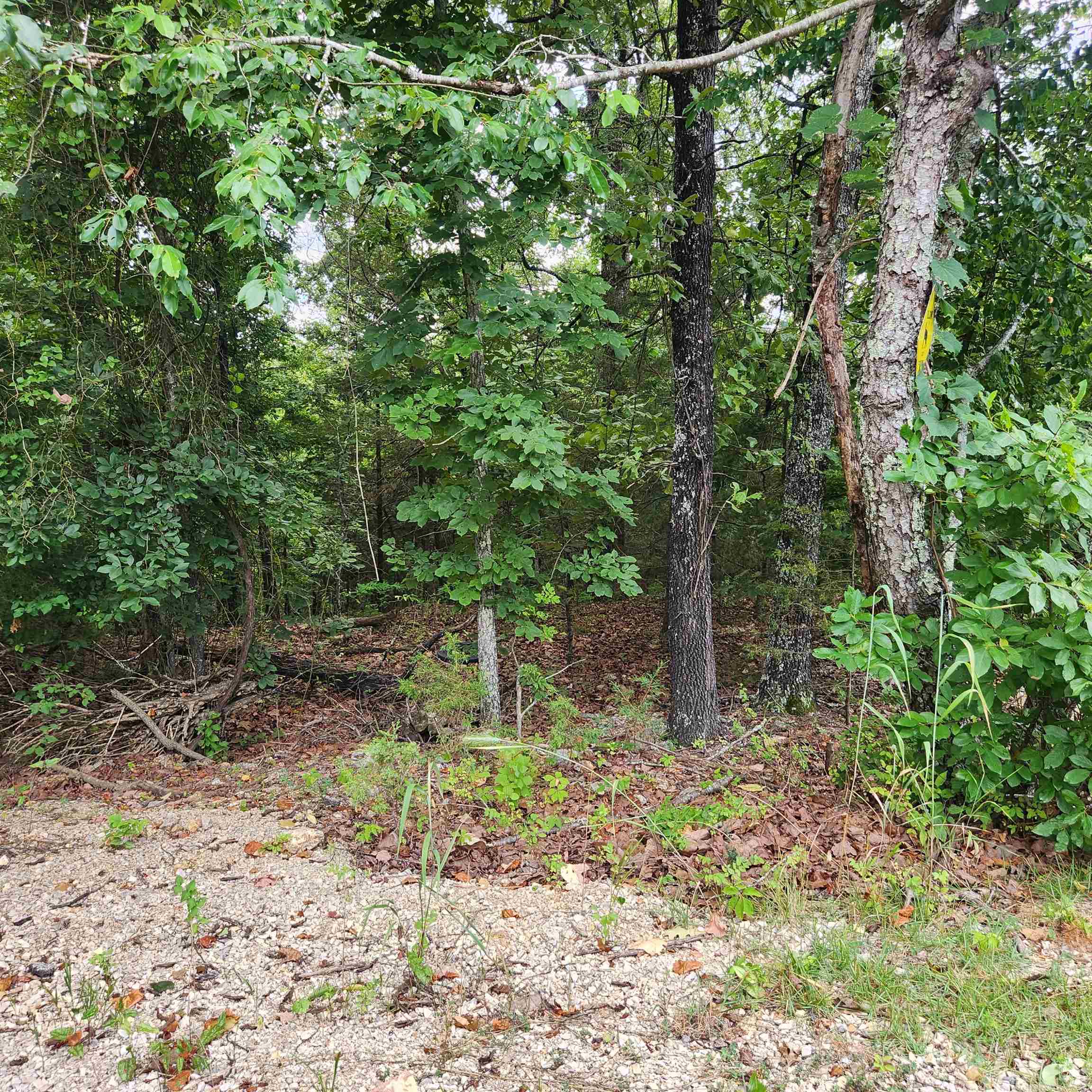L-38 B-4 Topez Drive Property Photo 15