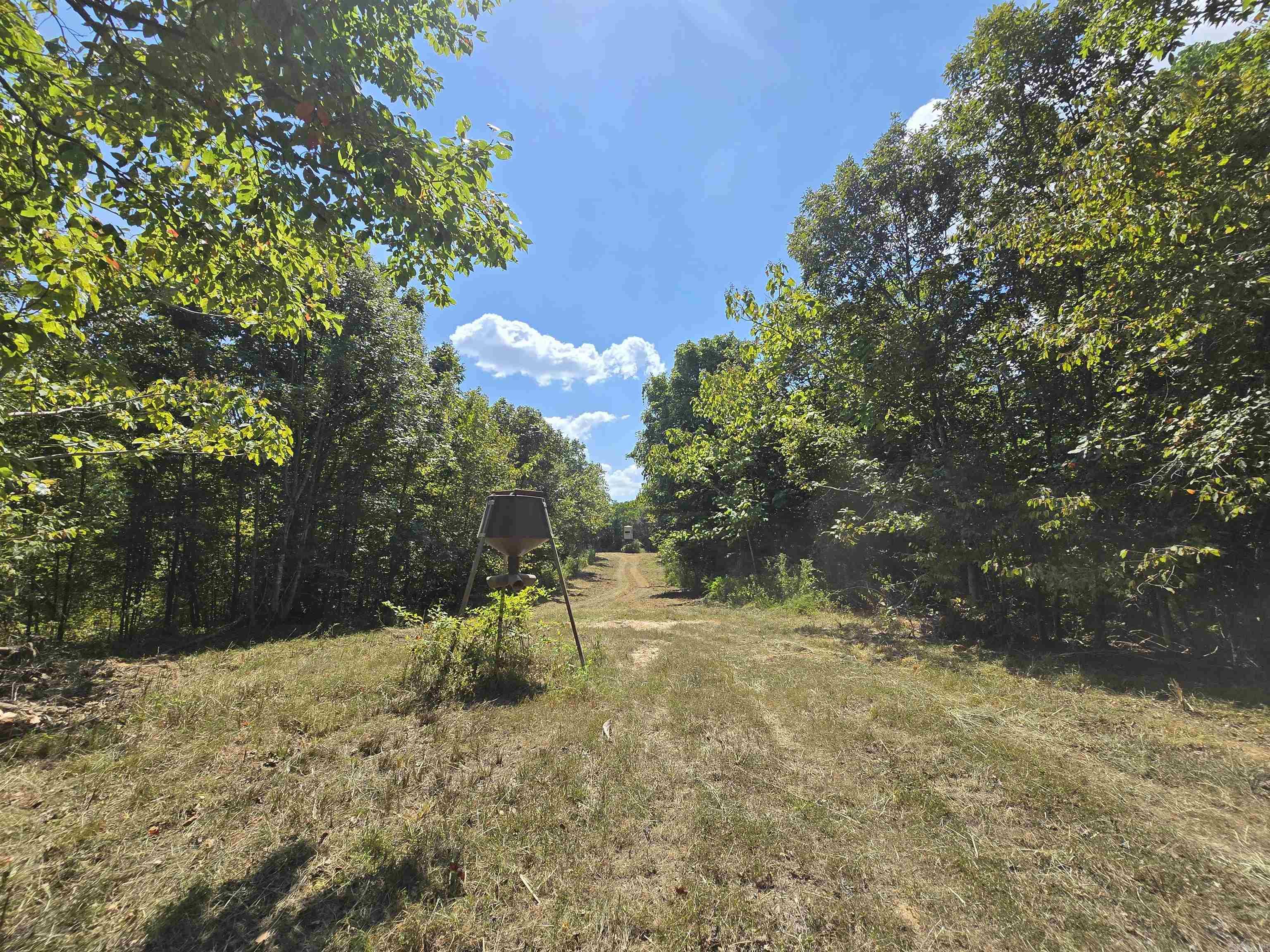 1001 Flecther Road Property Photo 33