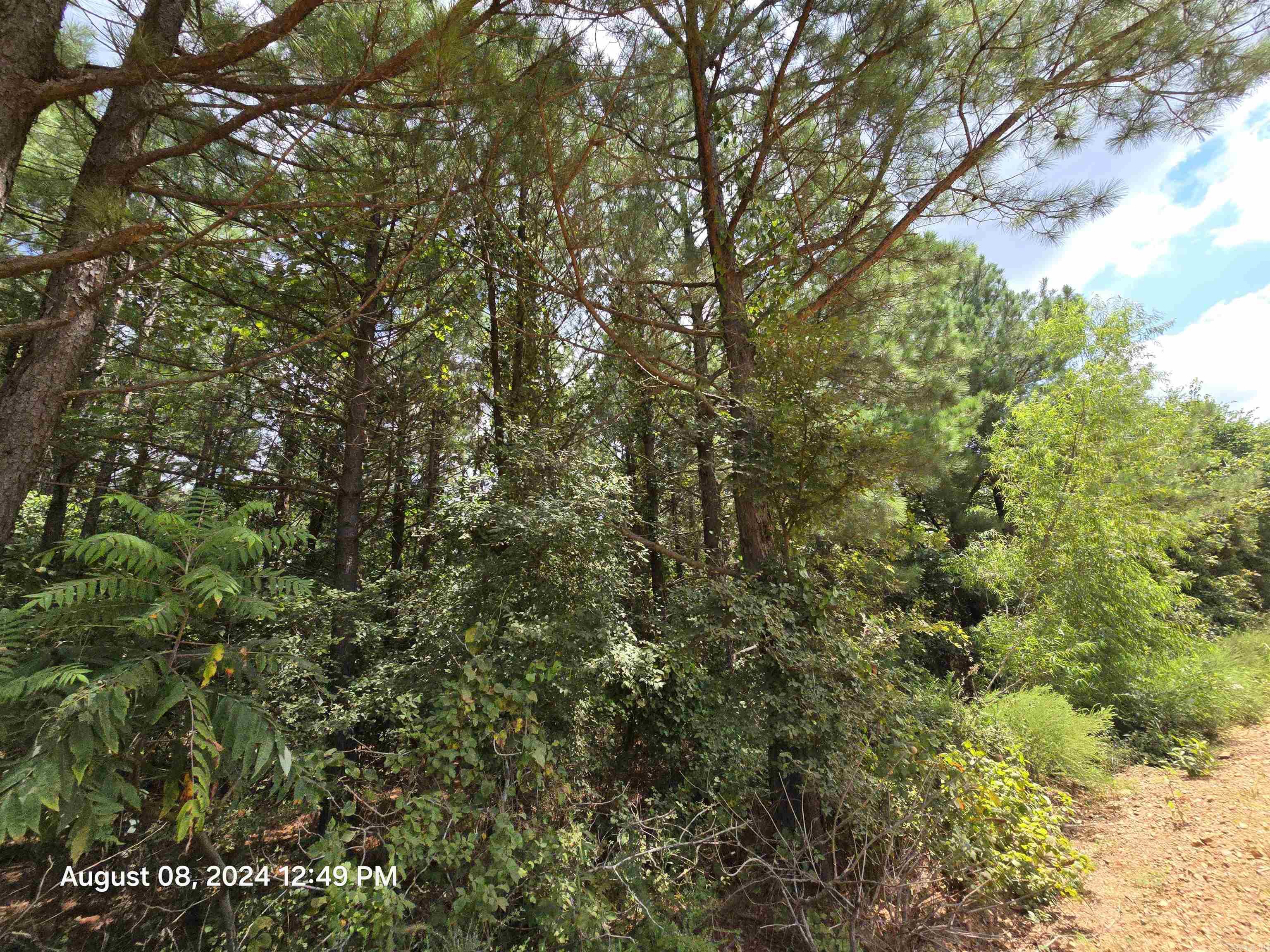 0 Goat Neck Road Property Photo 5