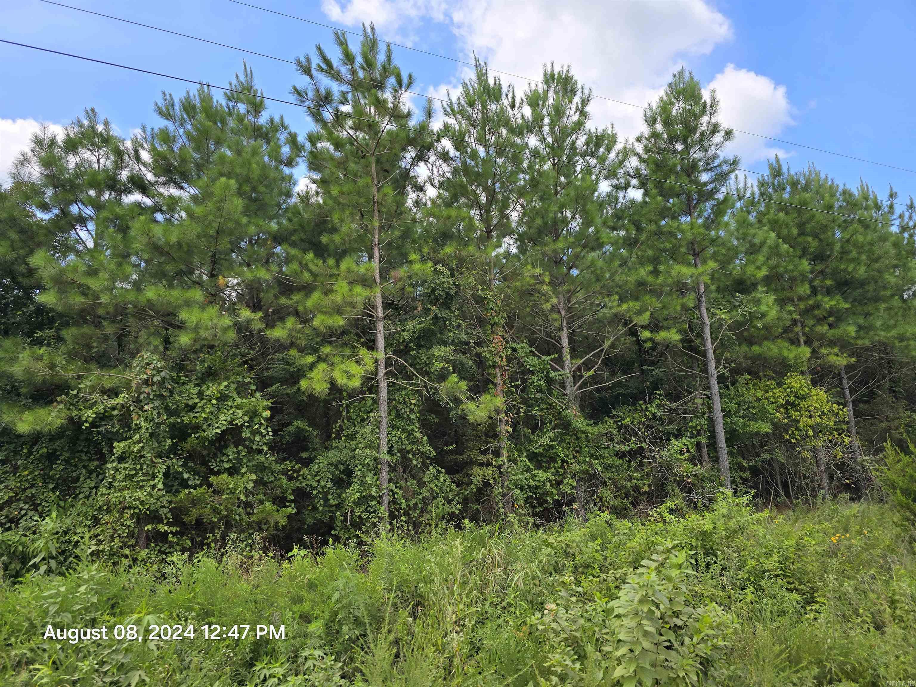 0 Goat Neck Road Property Photo 7