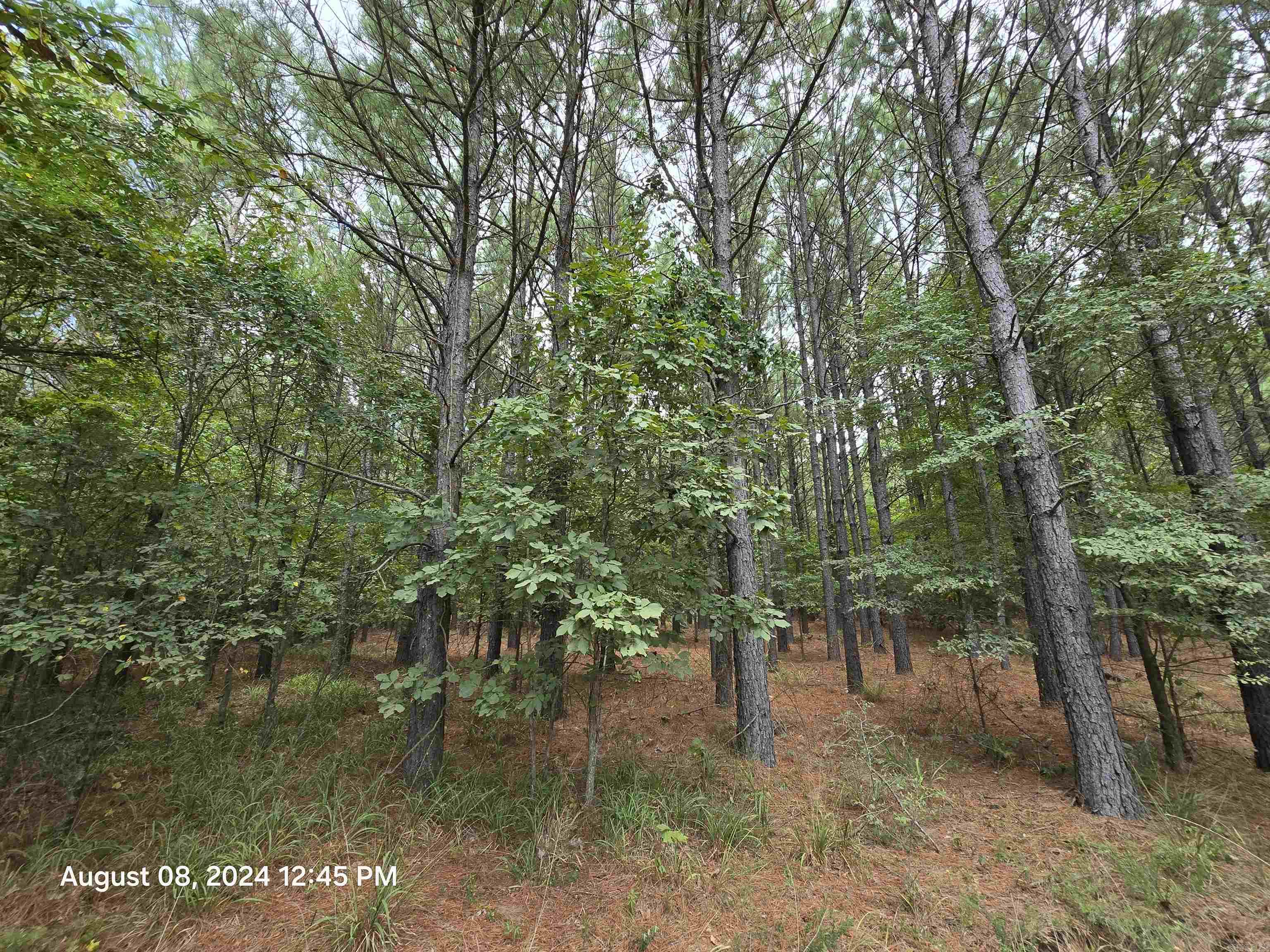 0 Goat Neck Road Property Photo 11