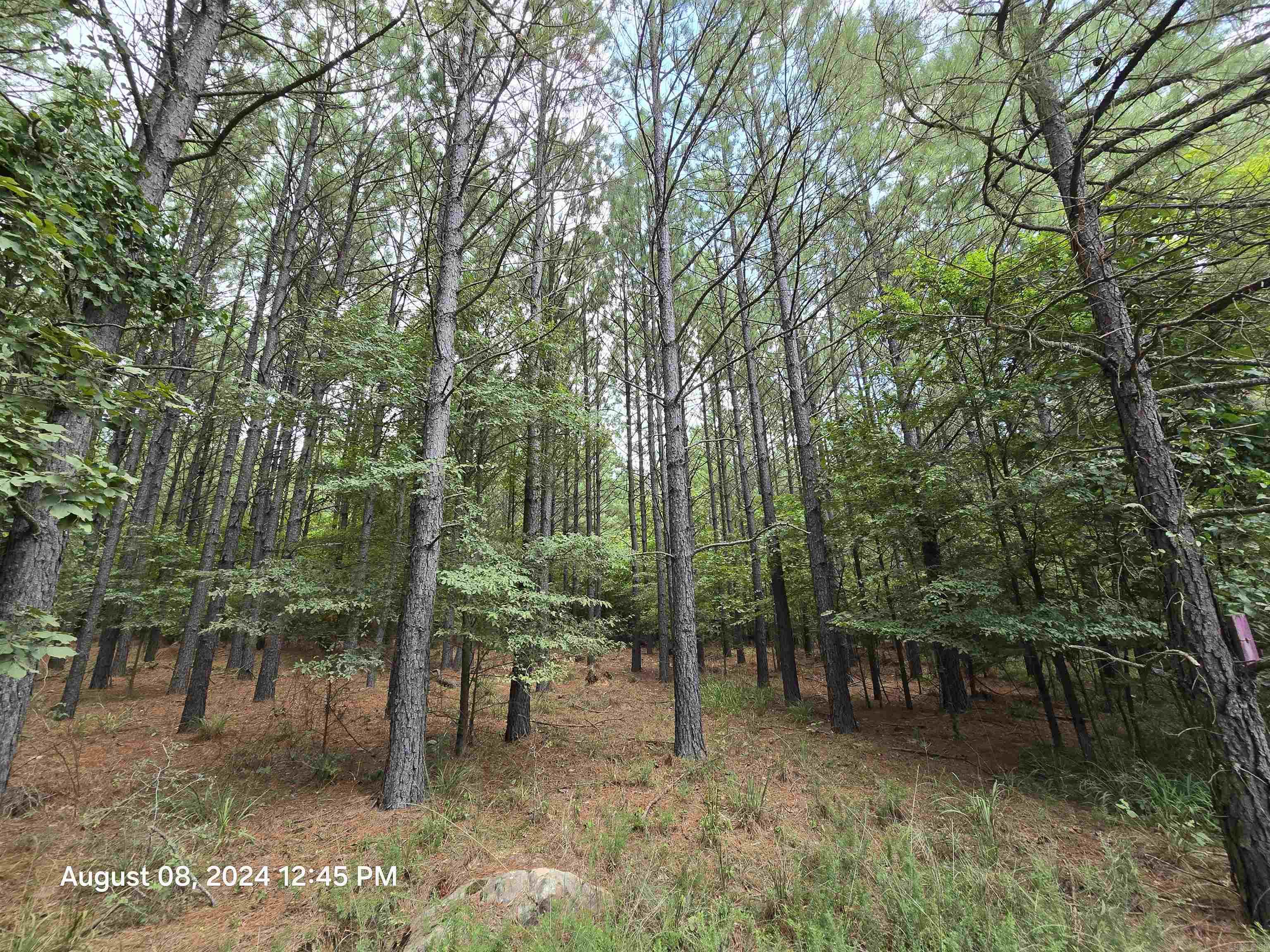 0 Goat Neck Road Property Photo 12