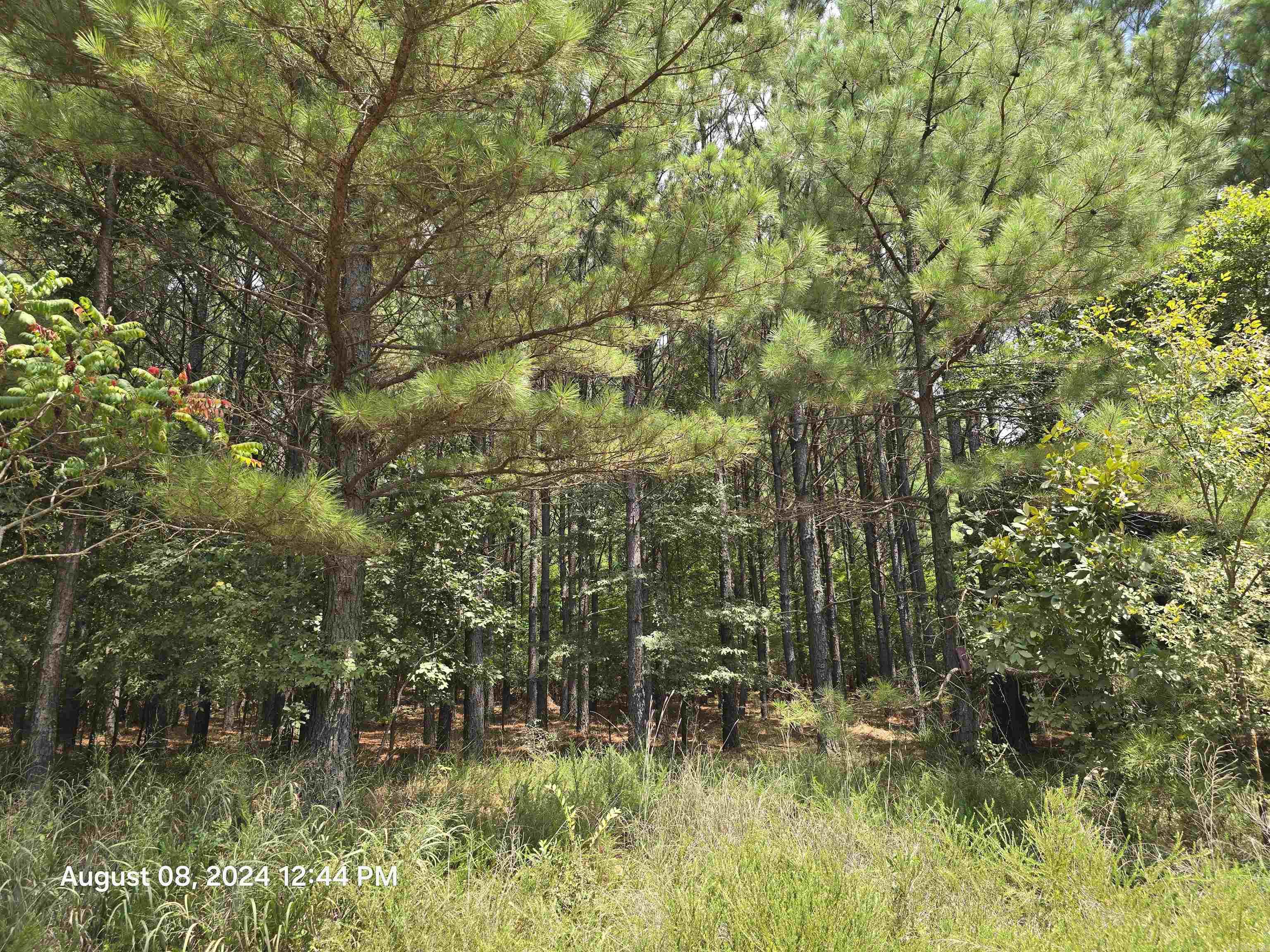 0 Goat Neck Road Property Photo 13