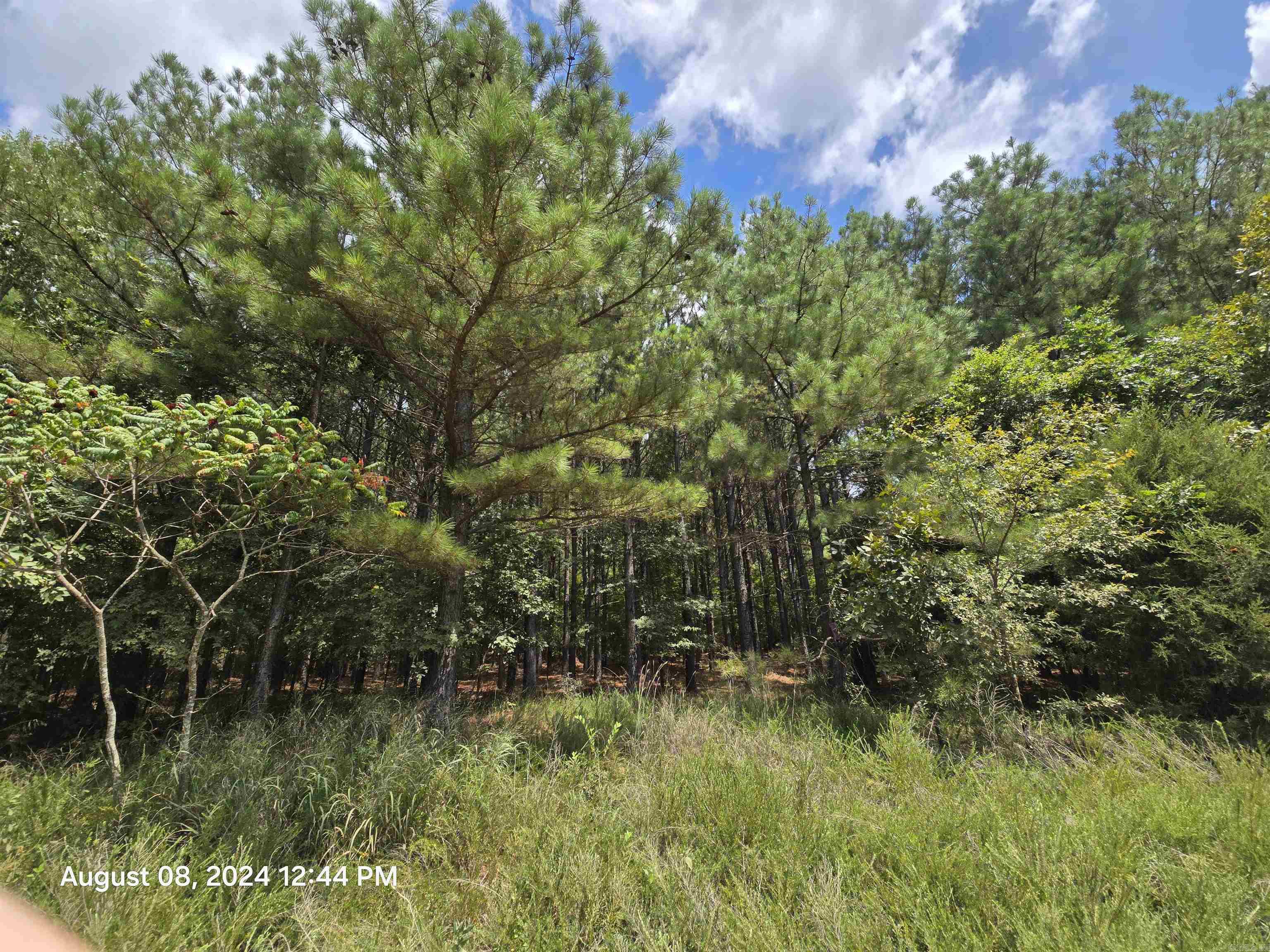 0 Goat Neck Road Property Photo 14