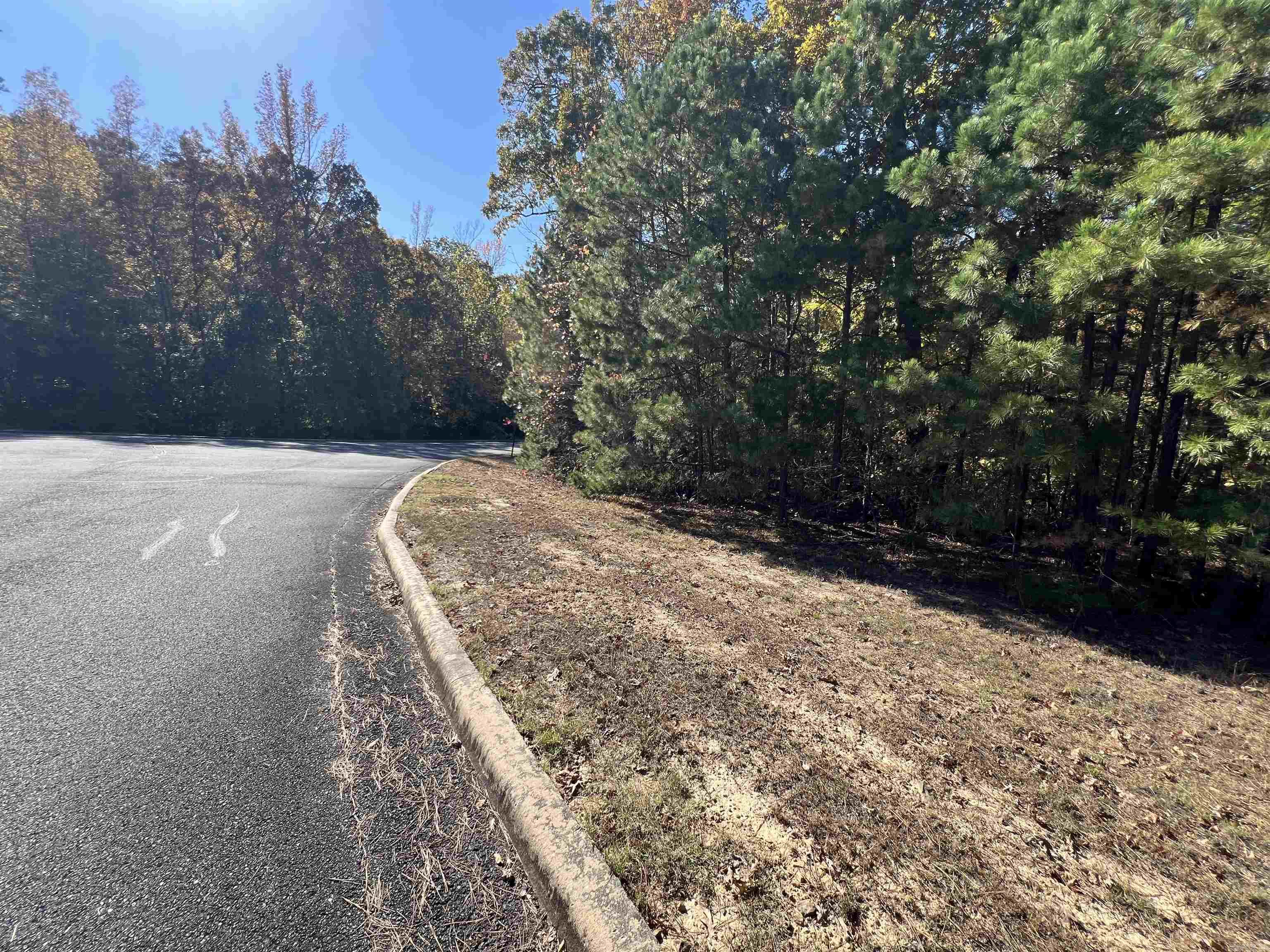 Lot 60r Holley Mountain Airpark Property Photo 8