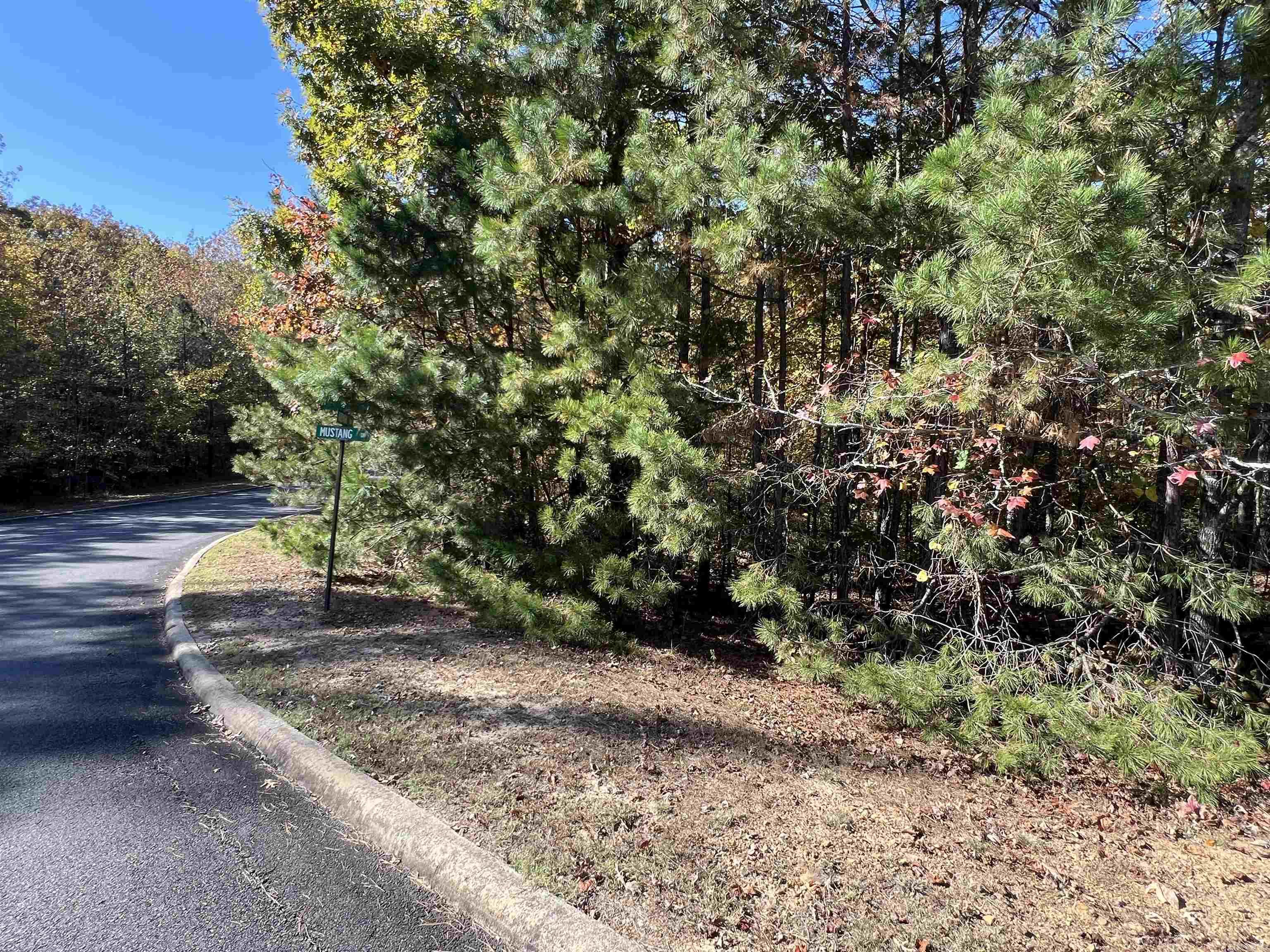 Lot 60r Holley Mountain Airpark Property Photo 9