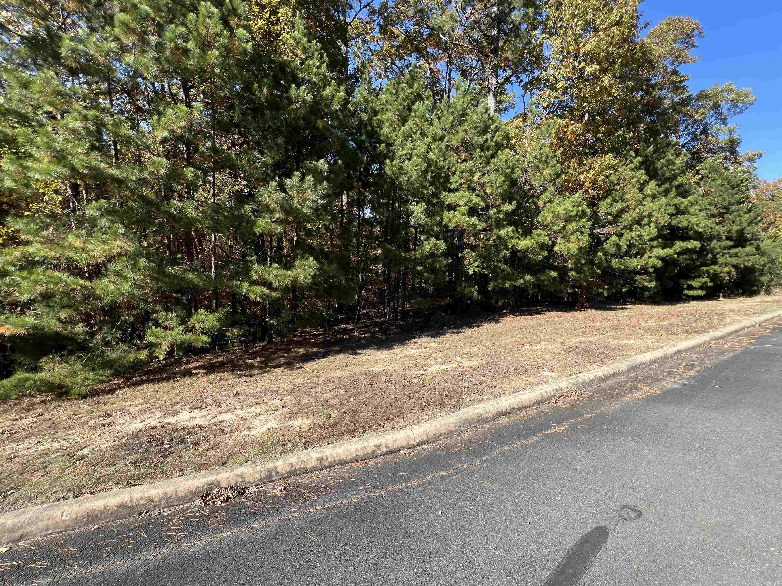 Lot 60r Holley Mountain Airpark Property Photo 10