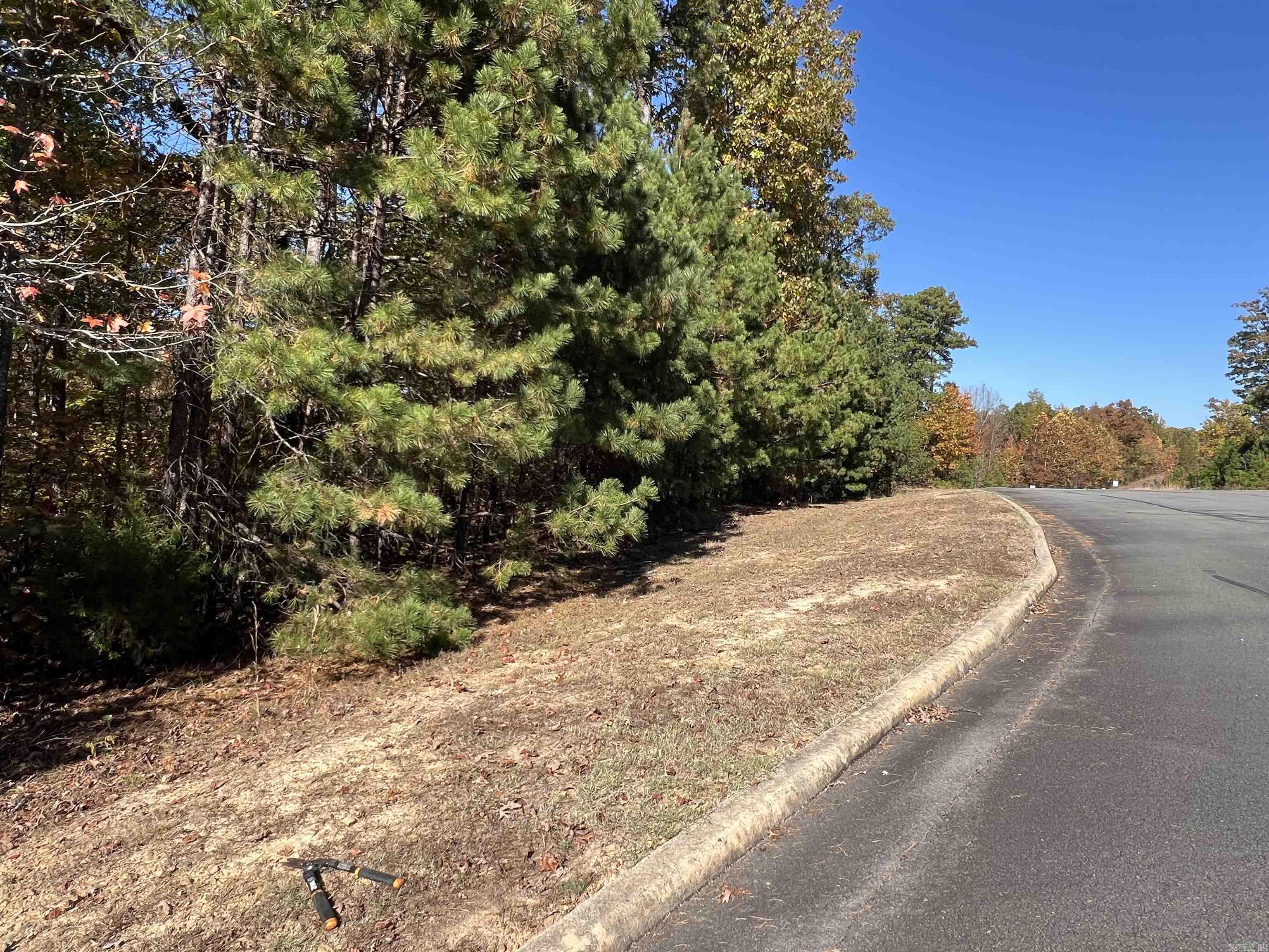 Lot 60r Holley Mountain Airpark Property Photo 11