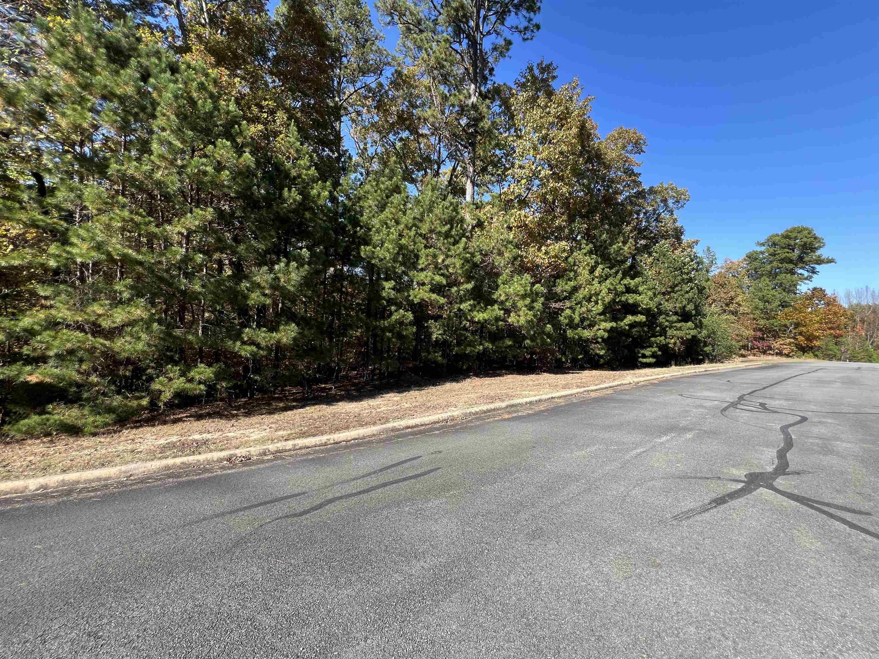Lot 60r Holley Mountain Airpark Property Photo 12