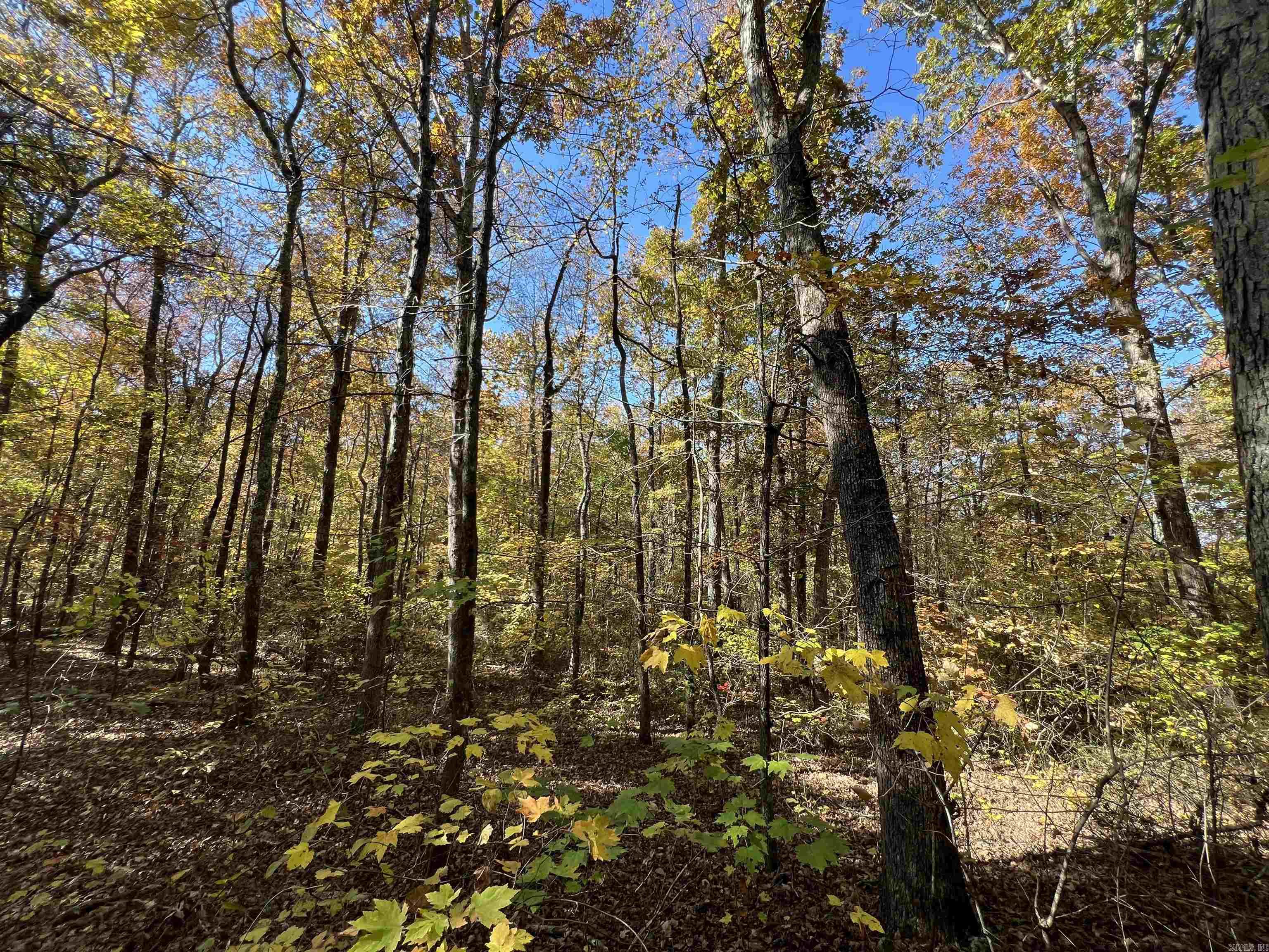 Lot 60r Holley Mountain Airpark Property Photo 20