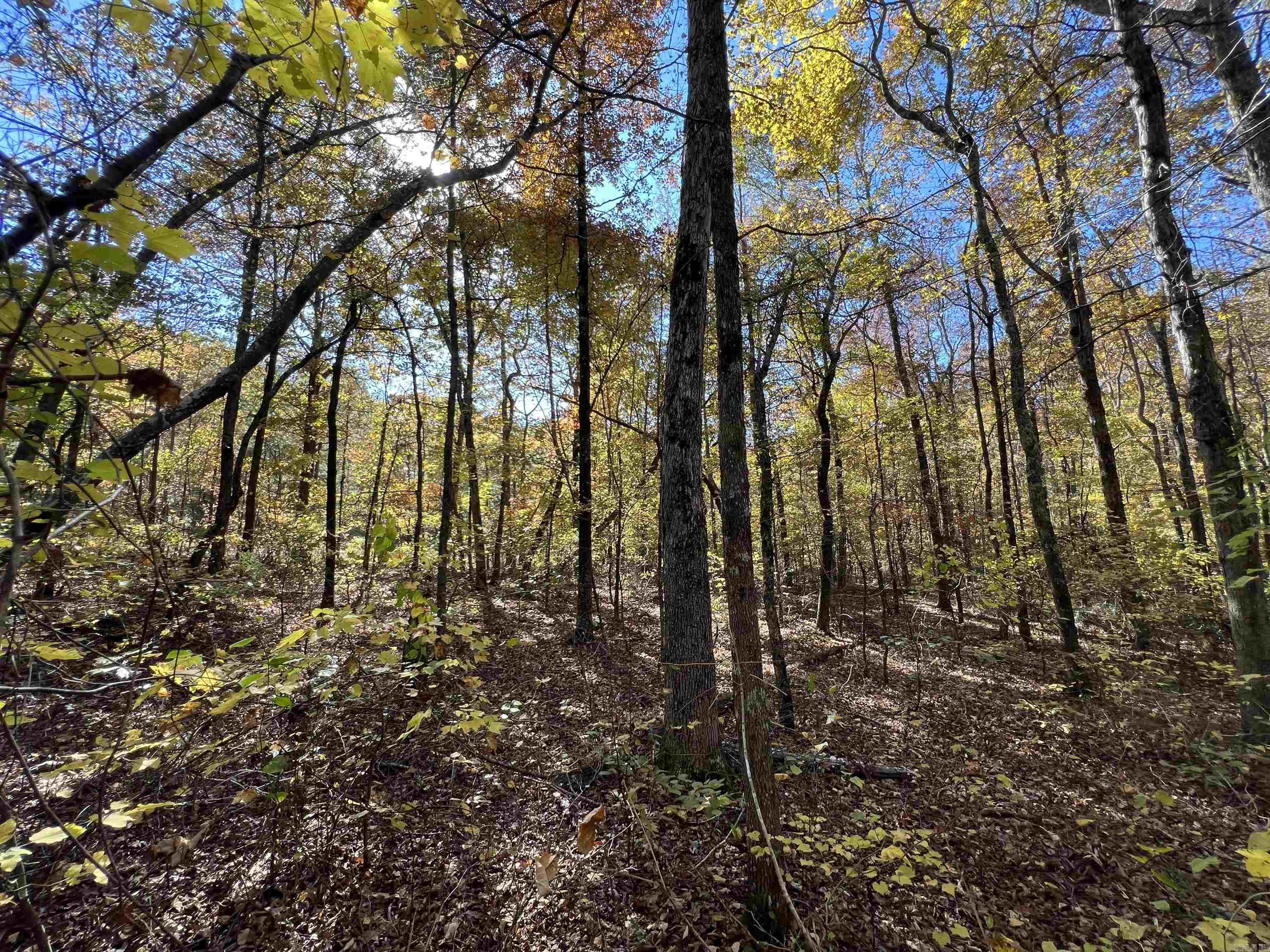 Lot 60r Holley Mountain Airpark Property Photo 21