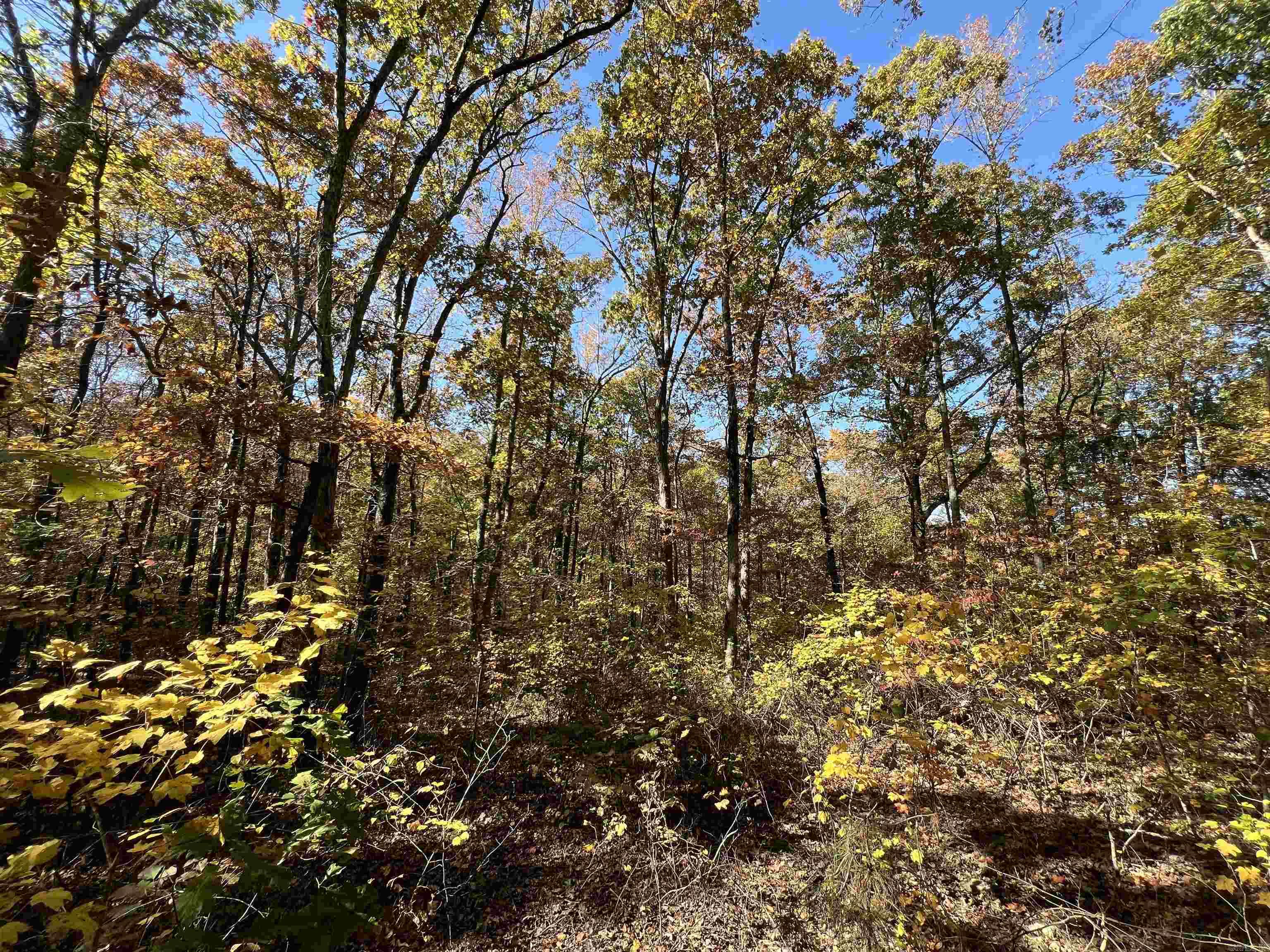 Lot 60r Holley Mountain Airpark Property Photo 22