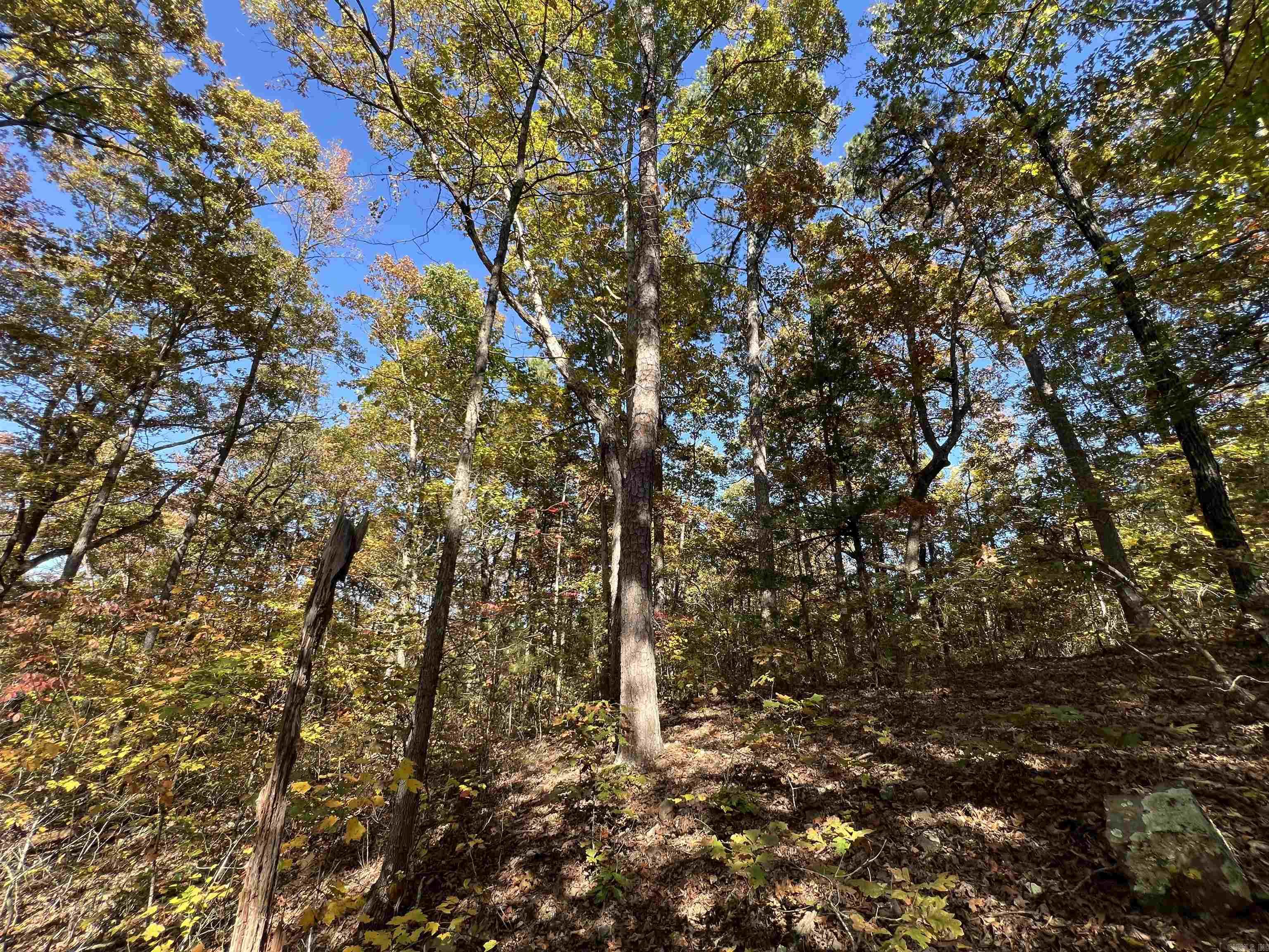 Lot 60r Holley Mountain Airpark Property Photo 23