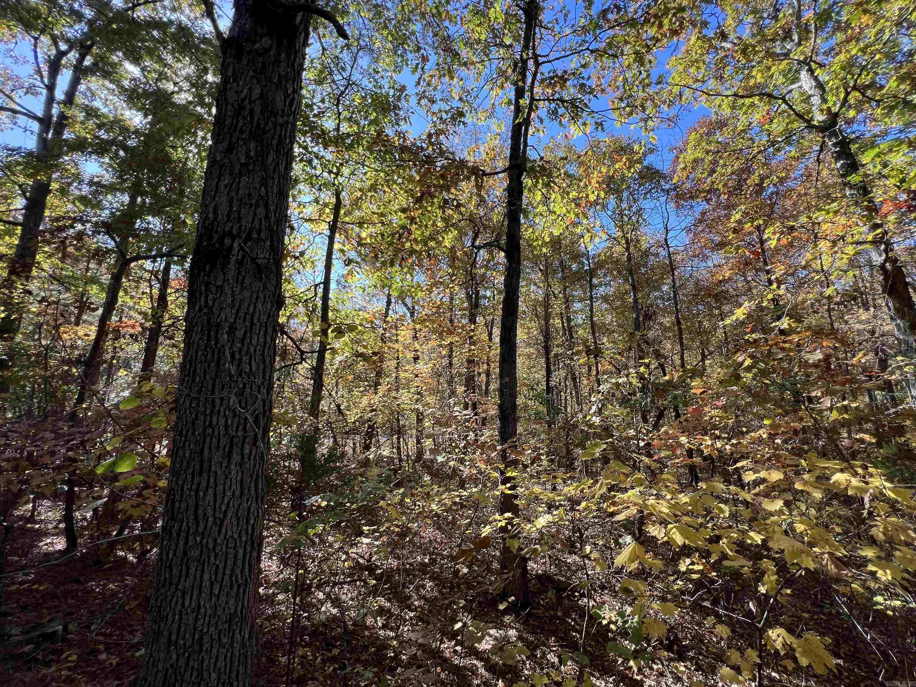 Lot 60r Holley Mountain Airpark Property Photo 24