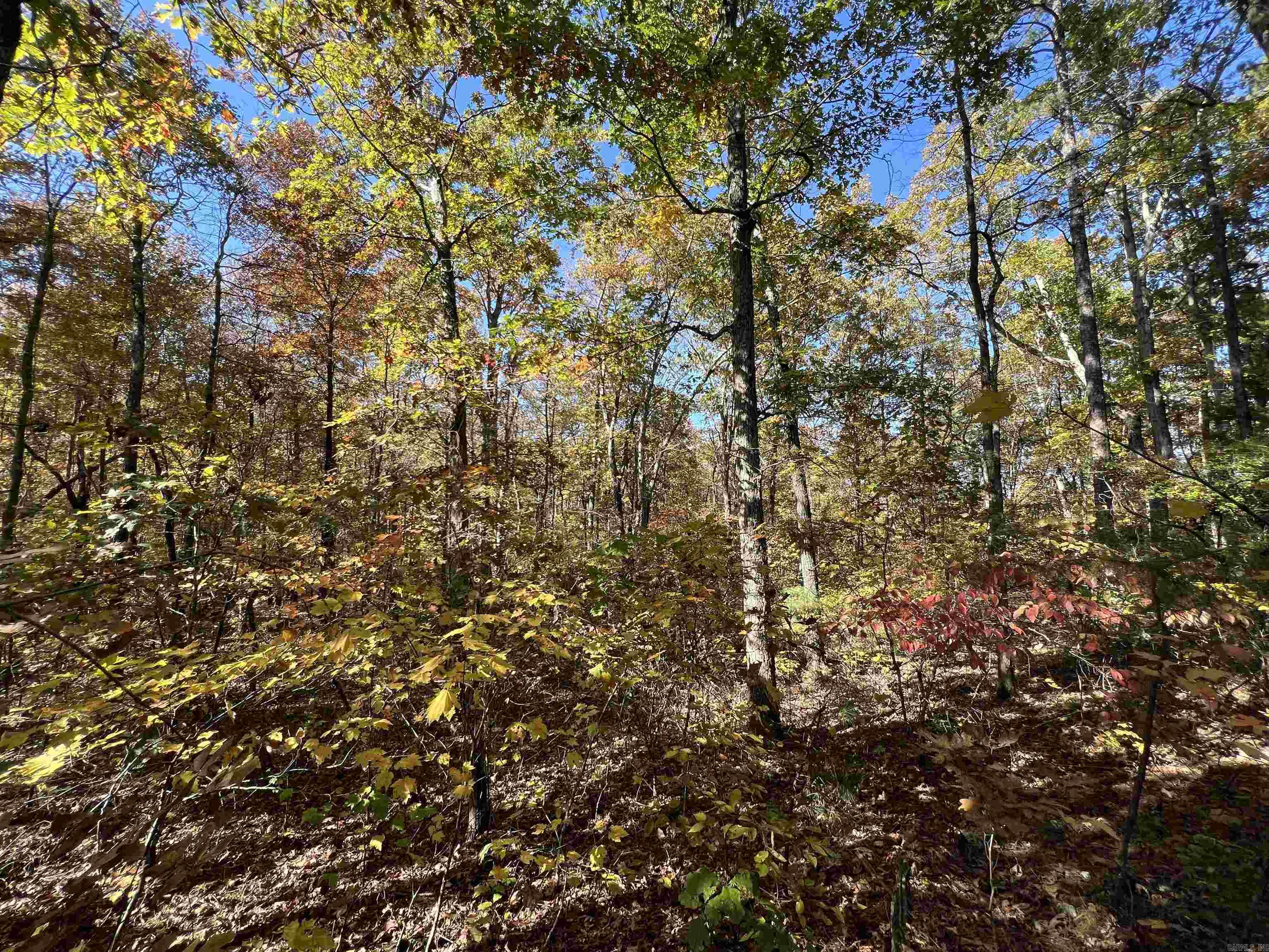Lot 60r Holley Mountain Airpark Property Photo 25