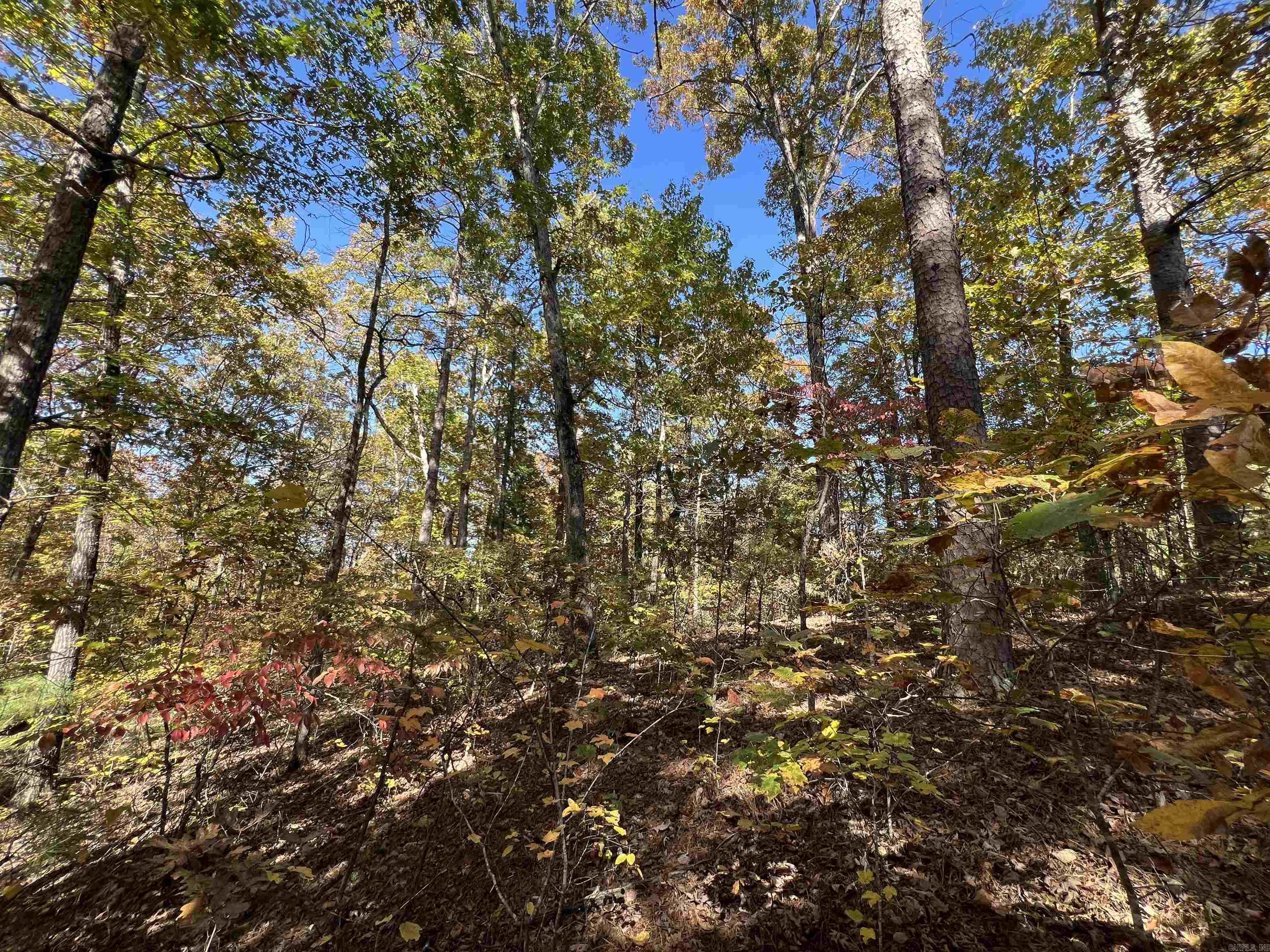 Lot 60r Holley Mountain Airpark Property Photo 26