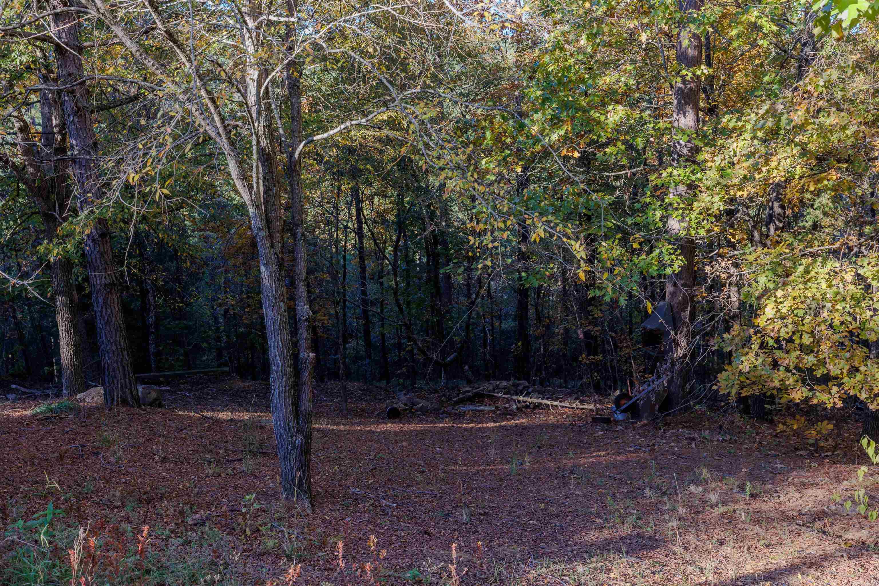95 Cannon Hill Road Property Photo 40